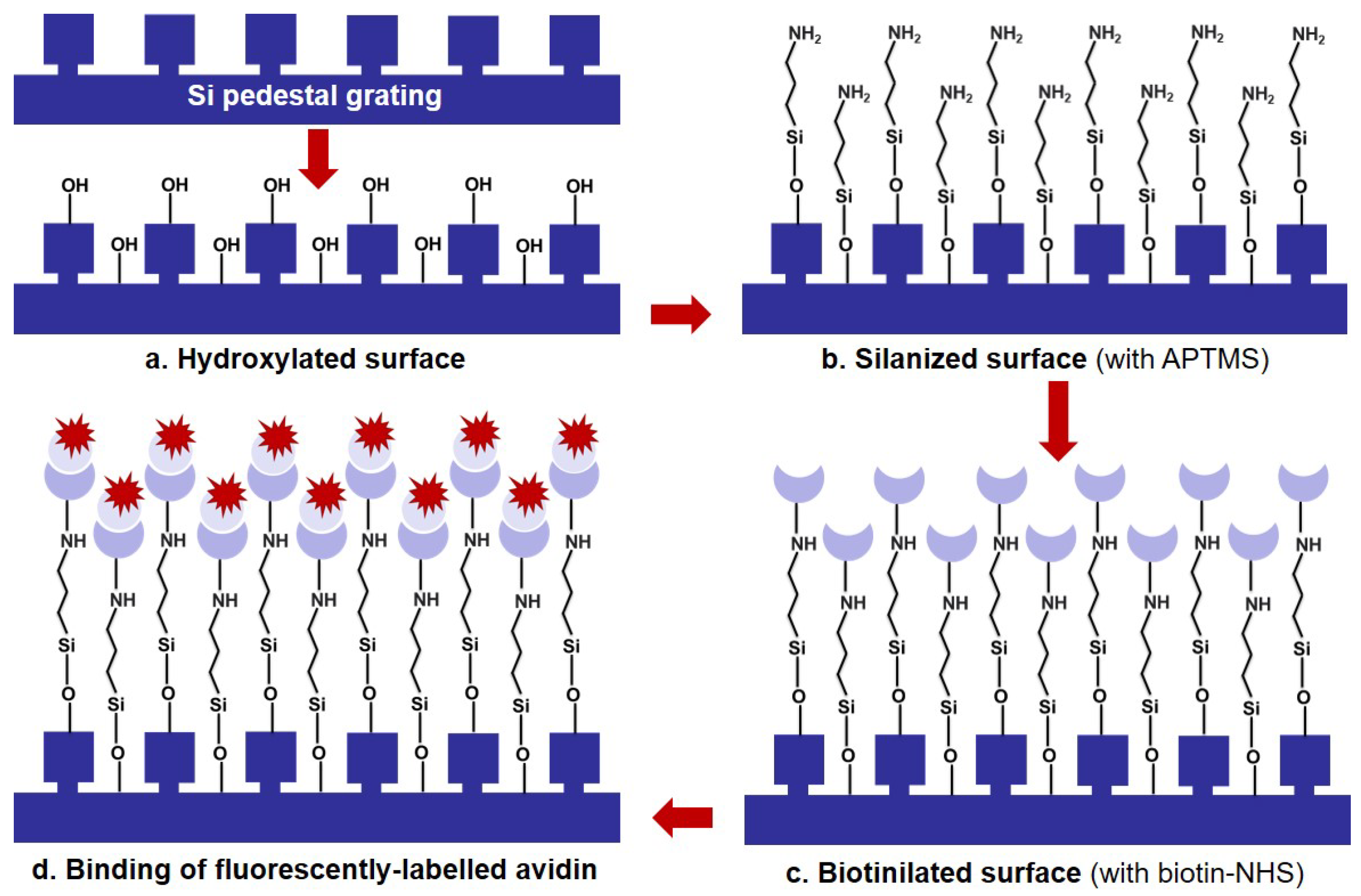 Nanomaterials 12 01748 g003 550