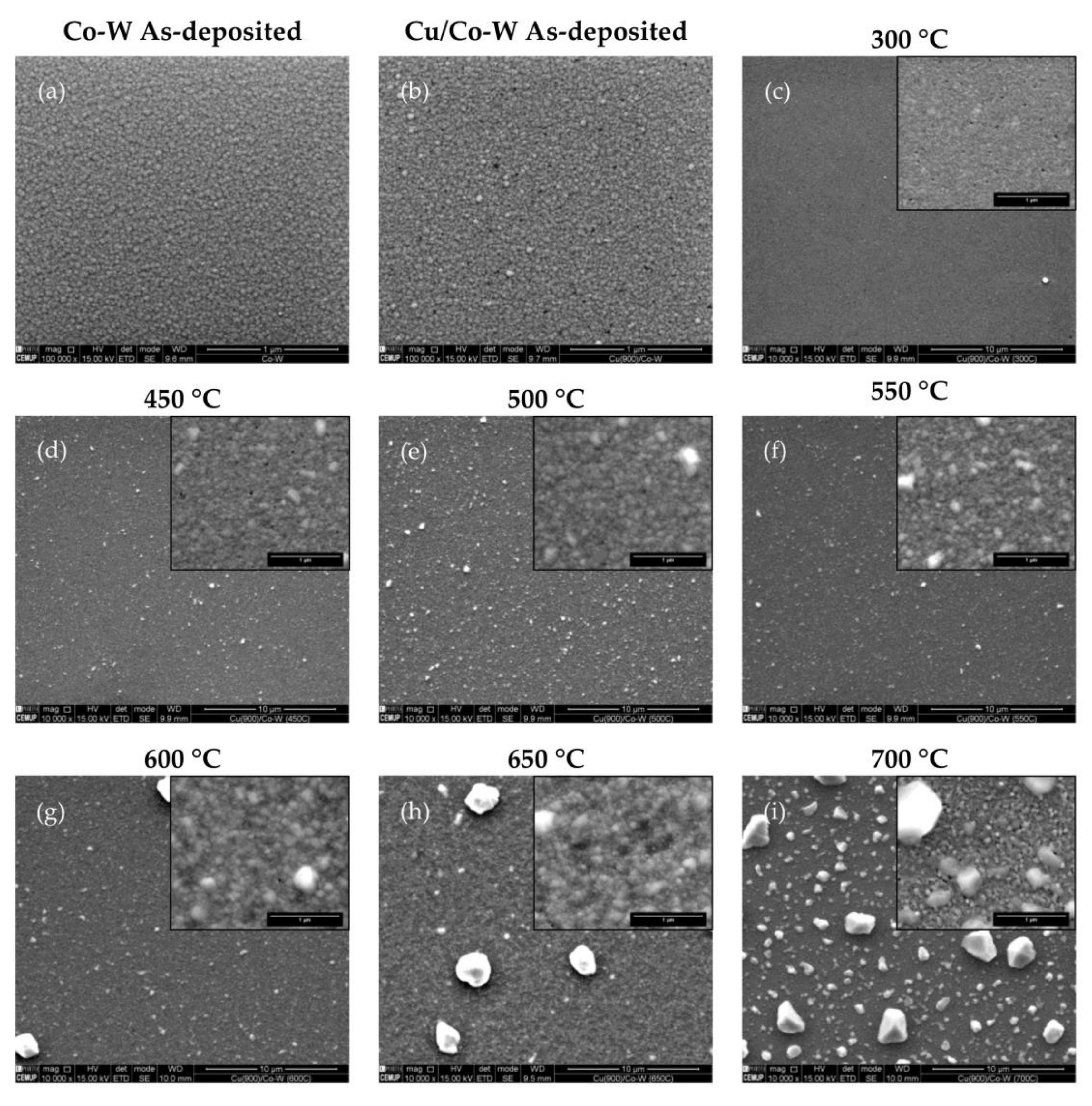 Nanomaterials 12 01752 g001