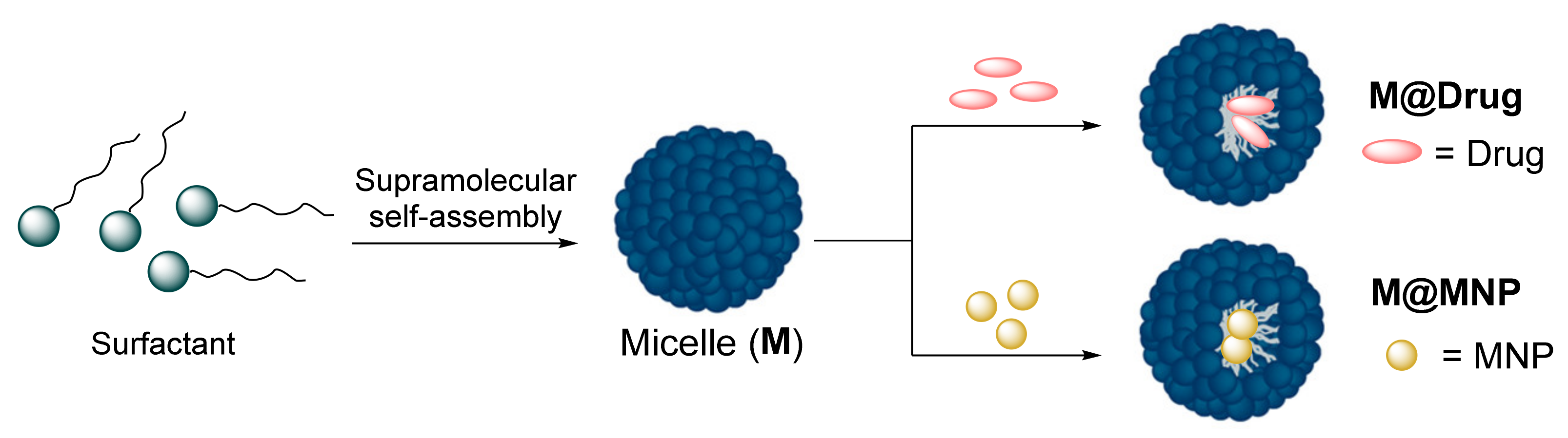 Nanomaterials 12 01753 g001 550