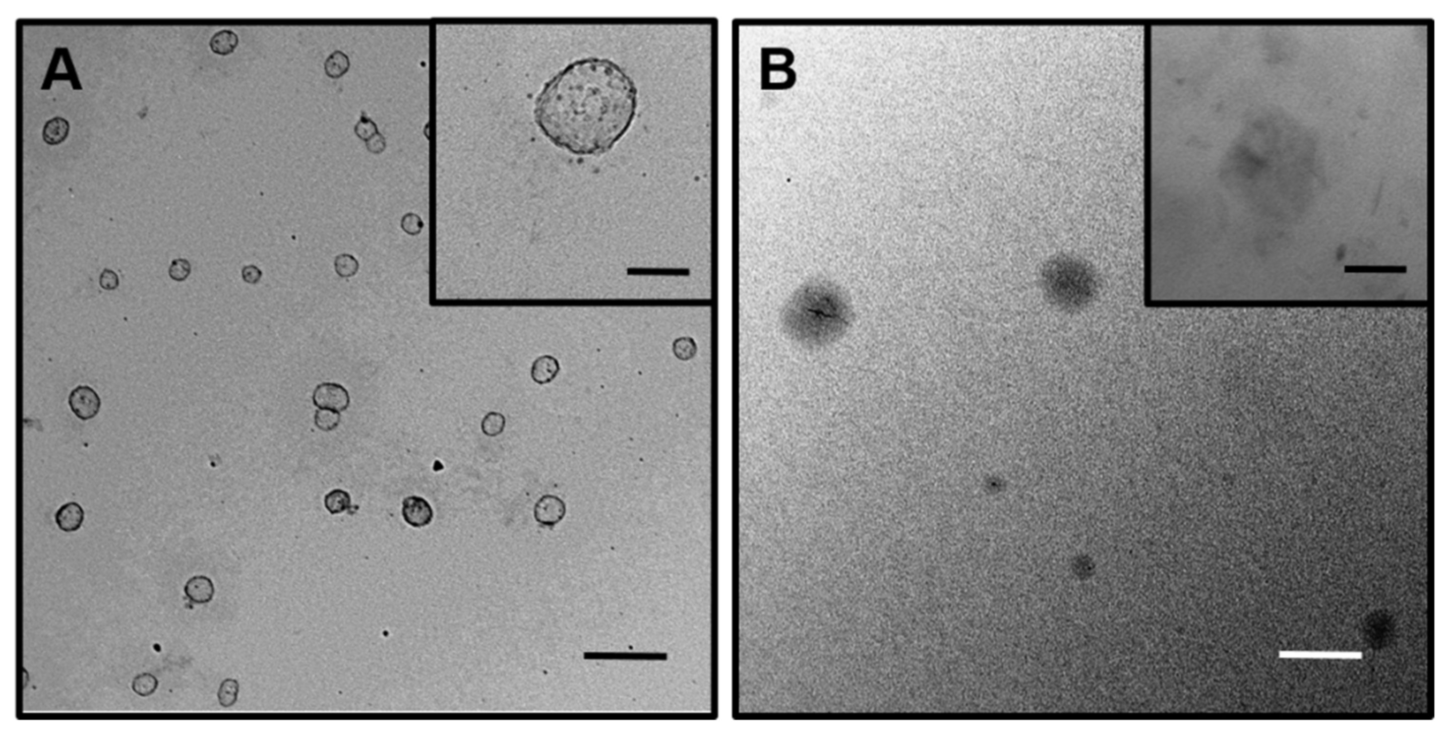 Nanomaterials 12 01753 g003 550