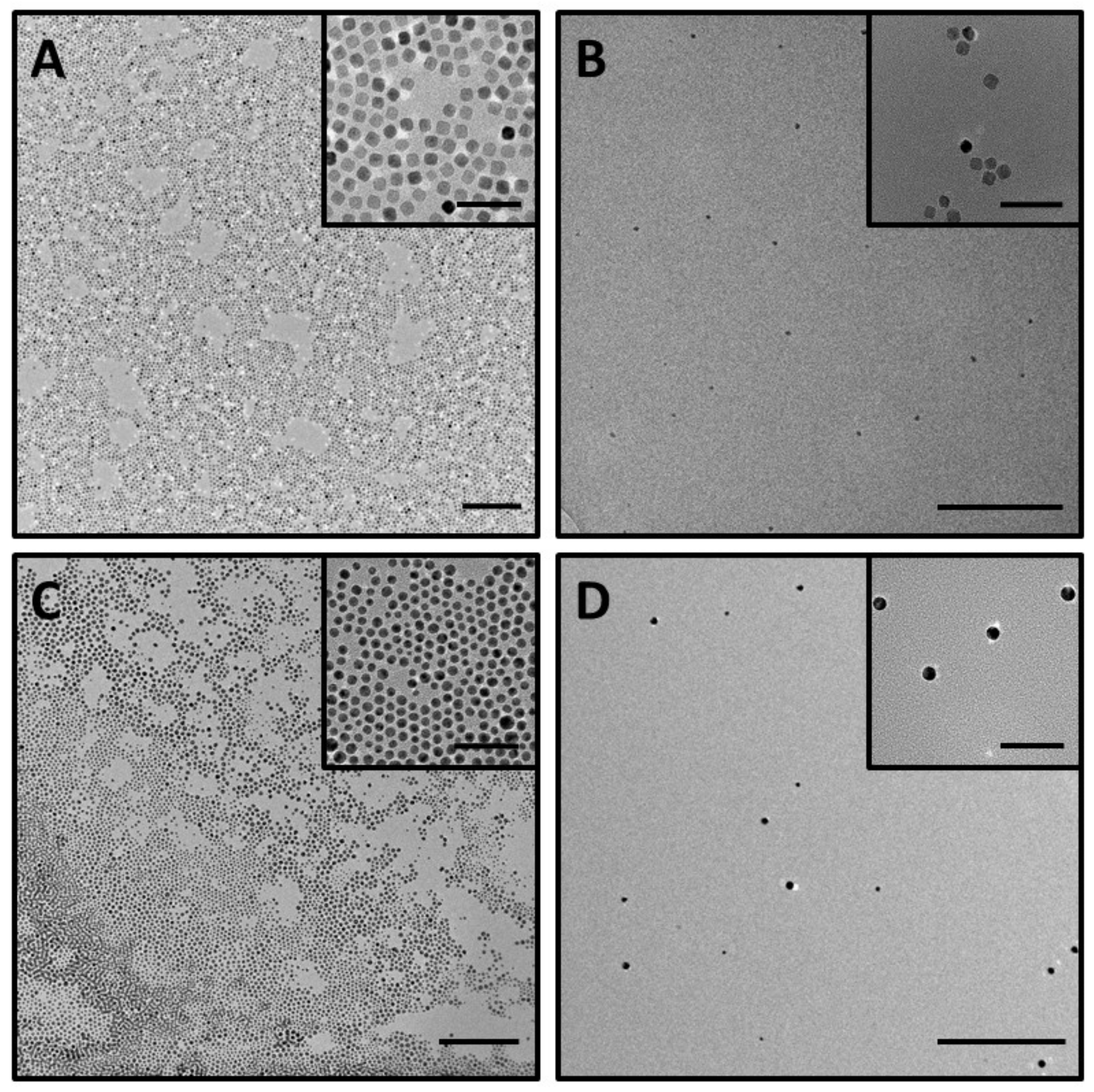 Nanomaterials 12 01753 g006 550