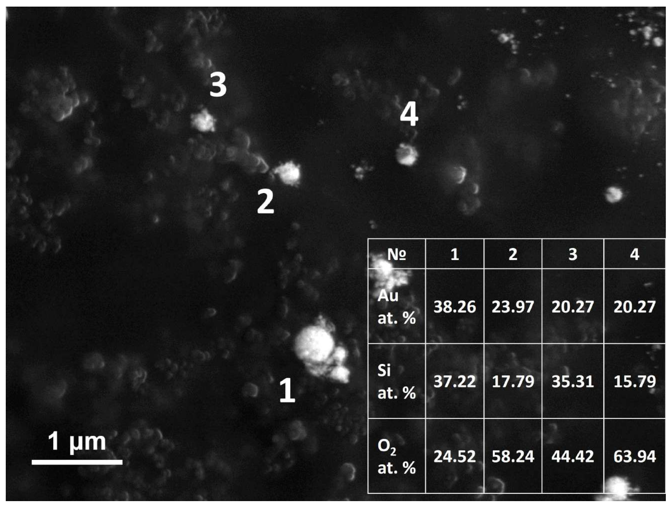 Nanomaterials 12 01756 g003 550