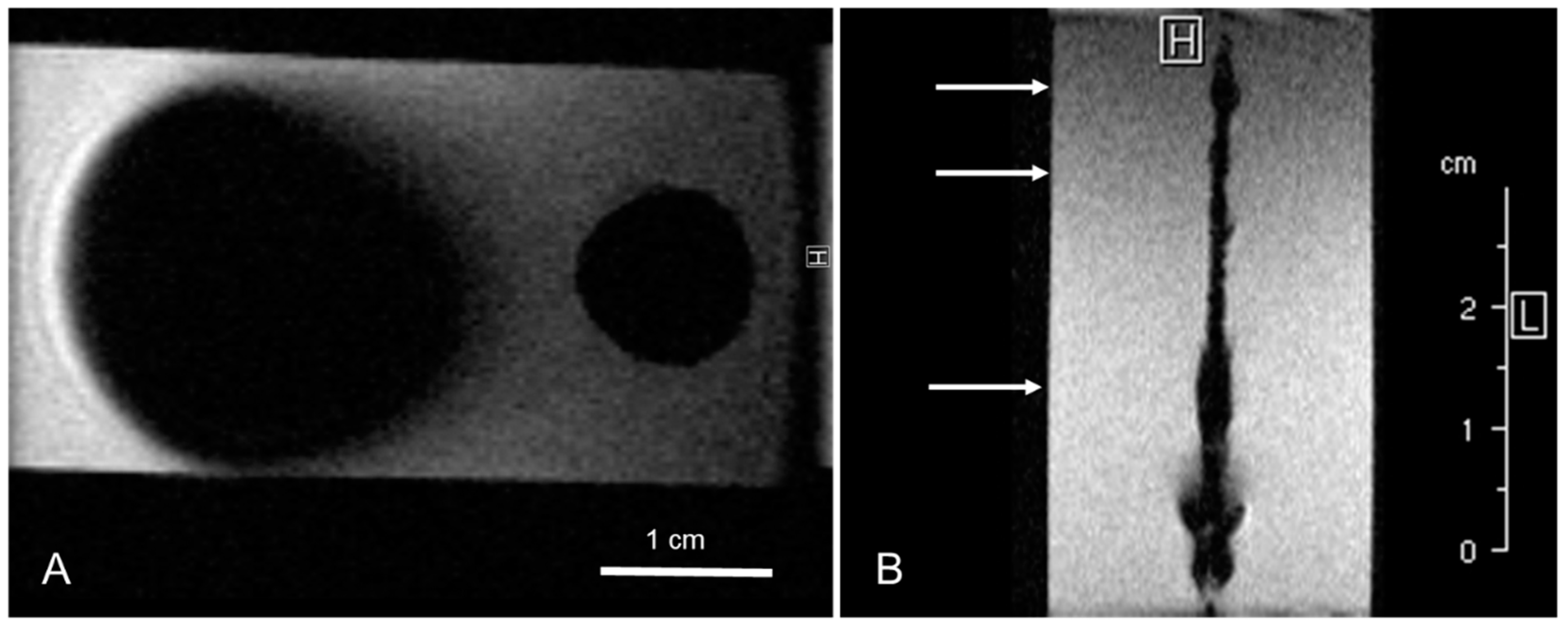 Nanomaterials 12 01758 g001
