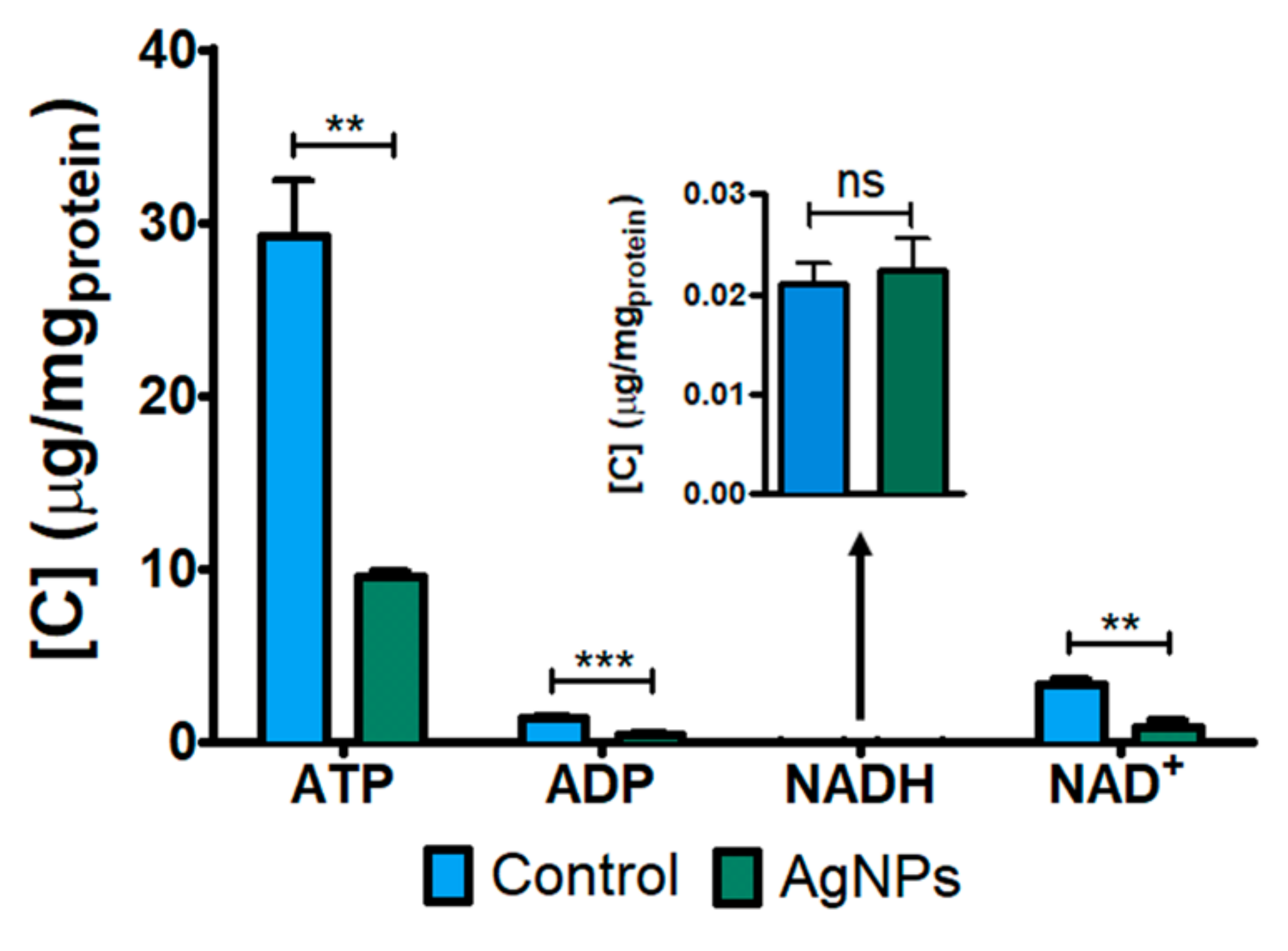 Nanomaterials 12 01762 g003