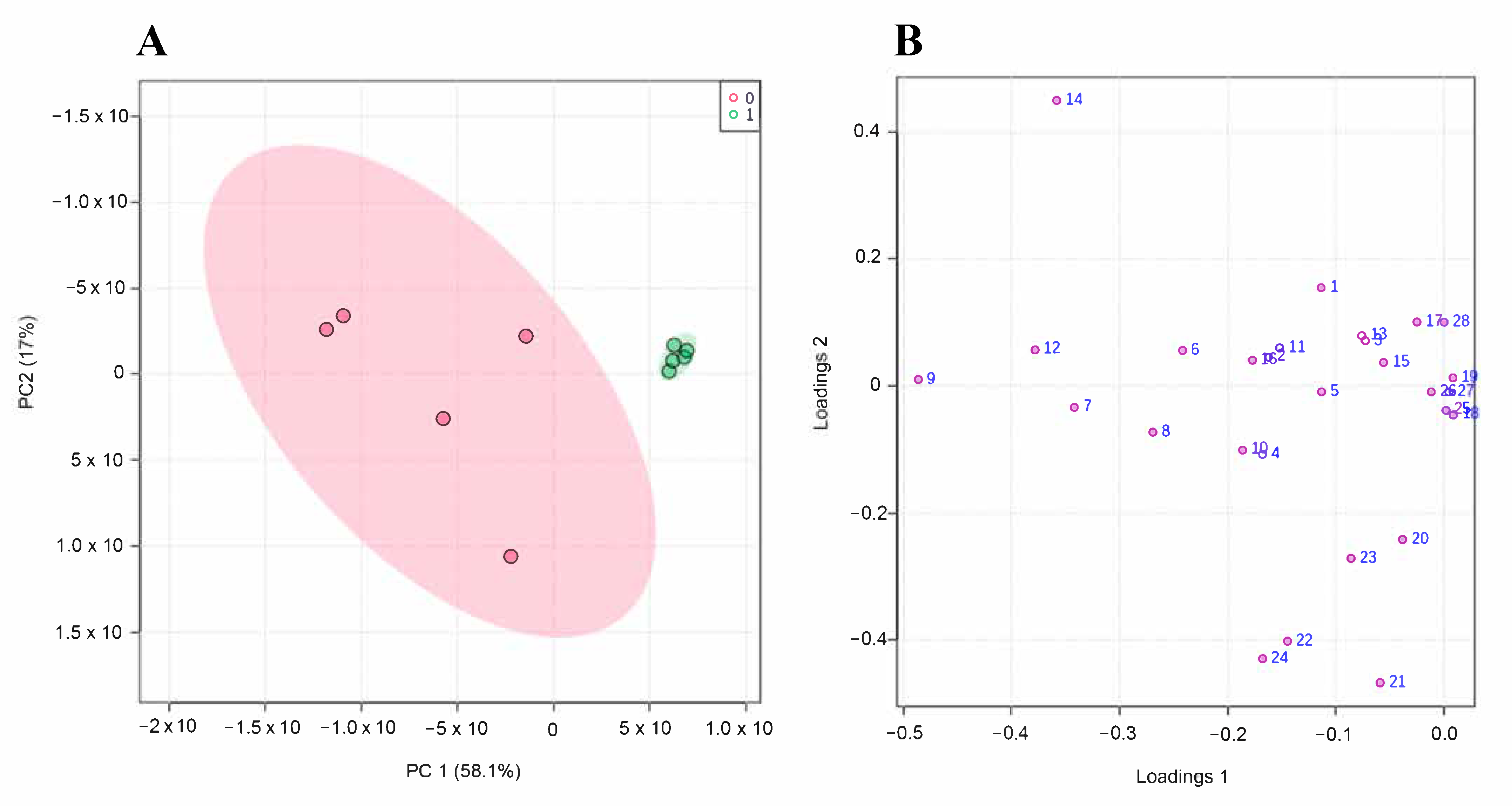 Nanomaterials 12 01762 g004