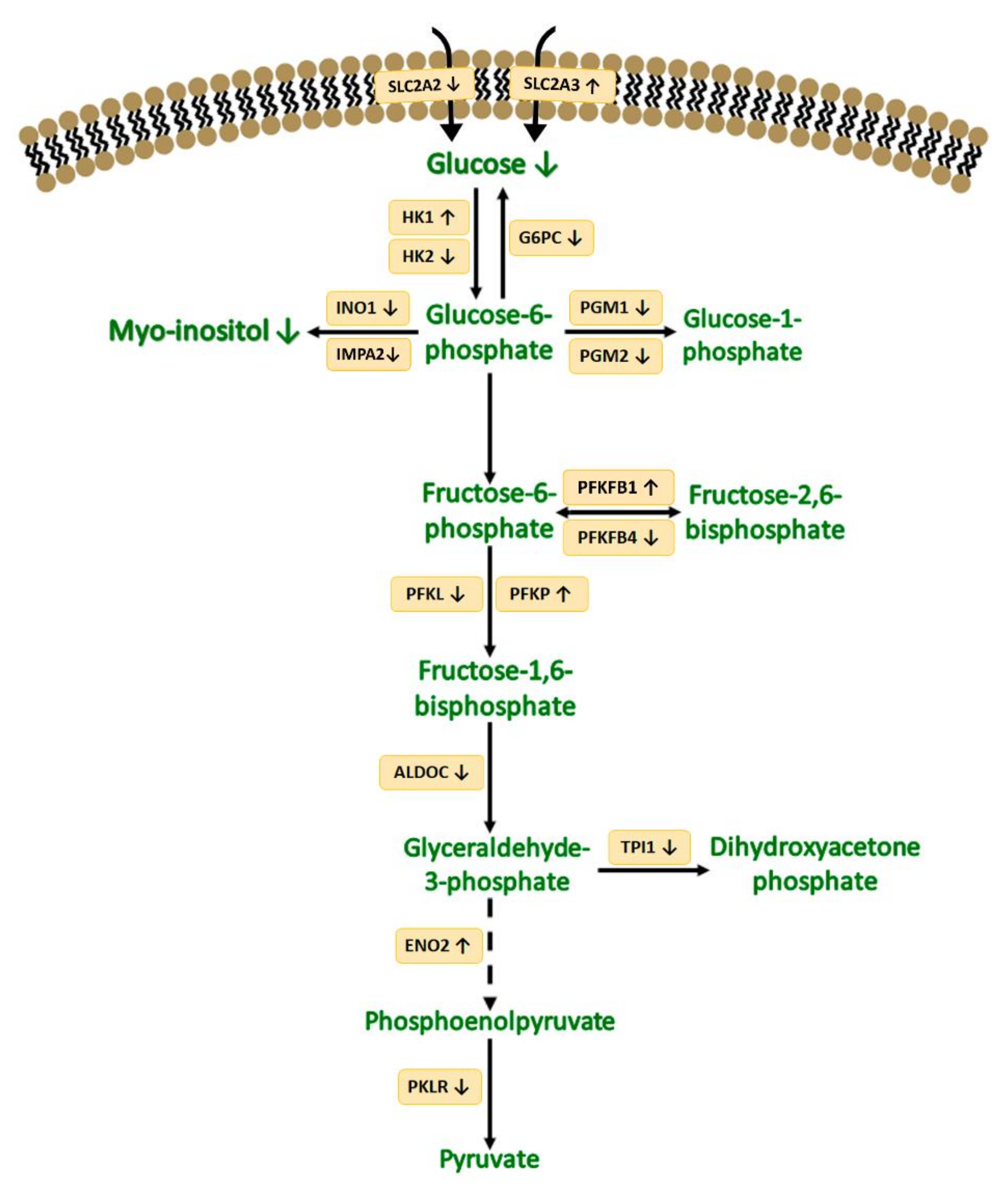 Nanomaterials 12 01762 g006