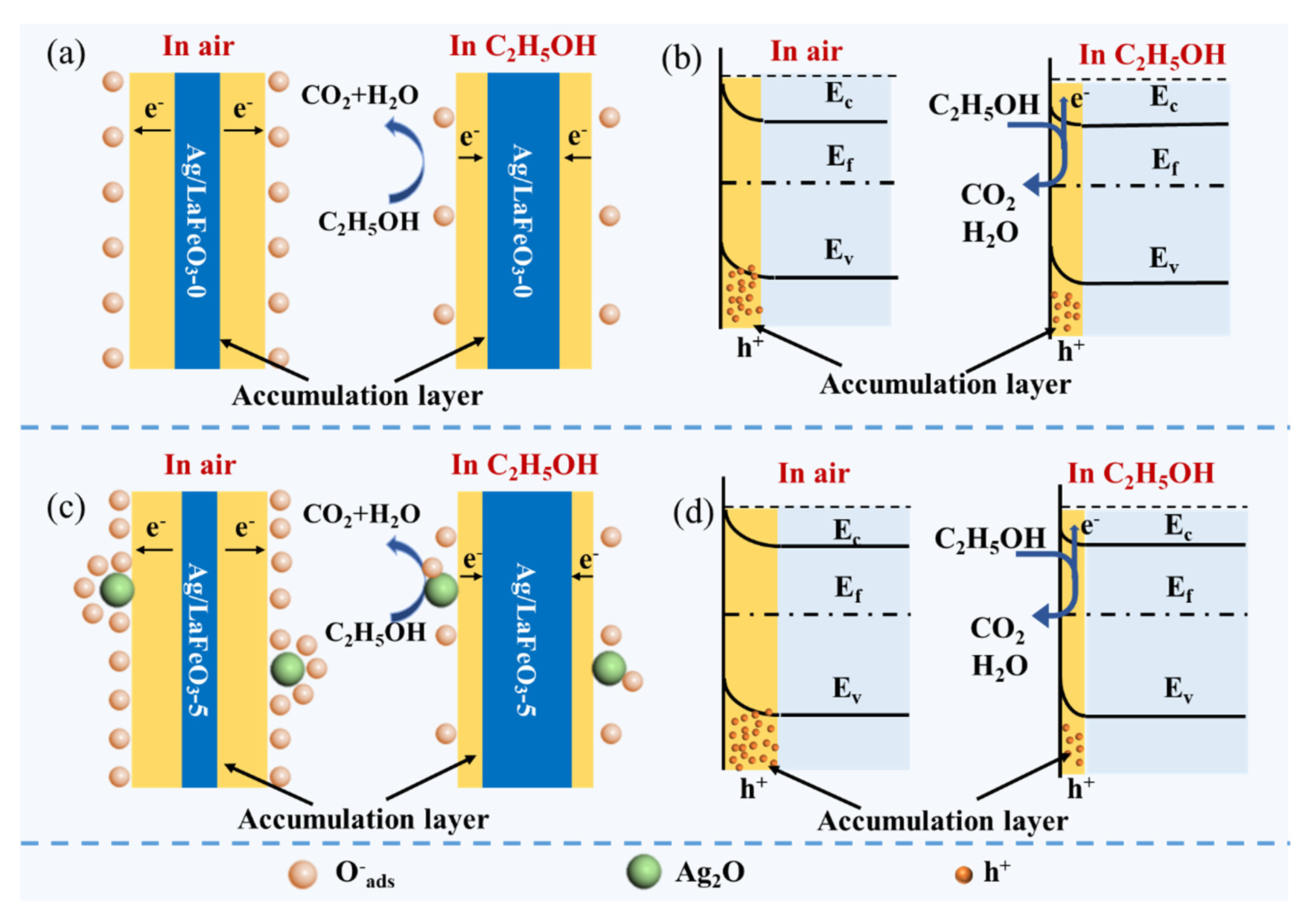 Nanomaterials 12 01768 g006