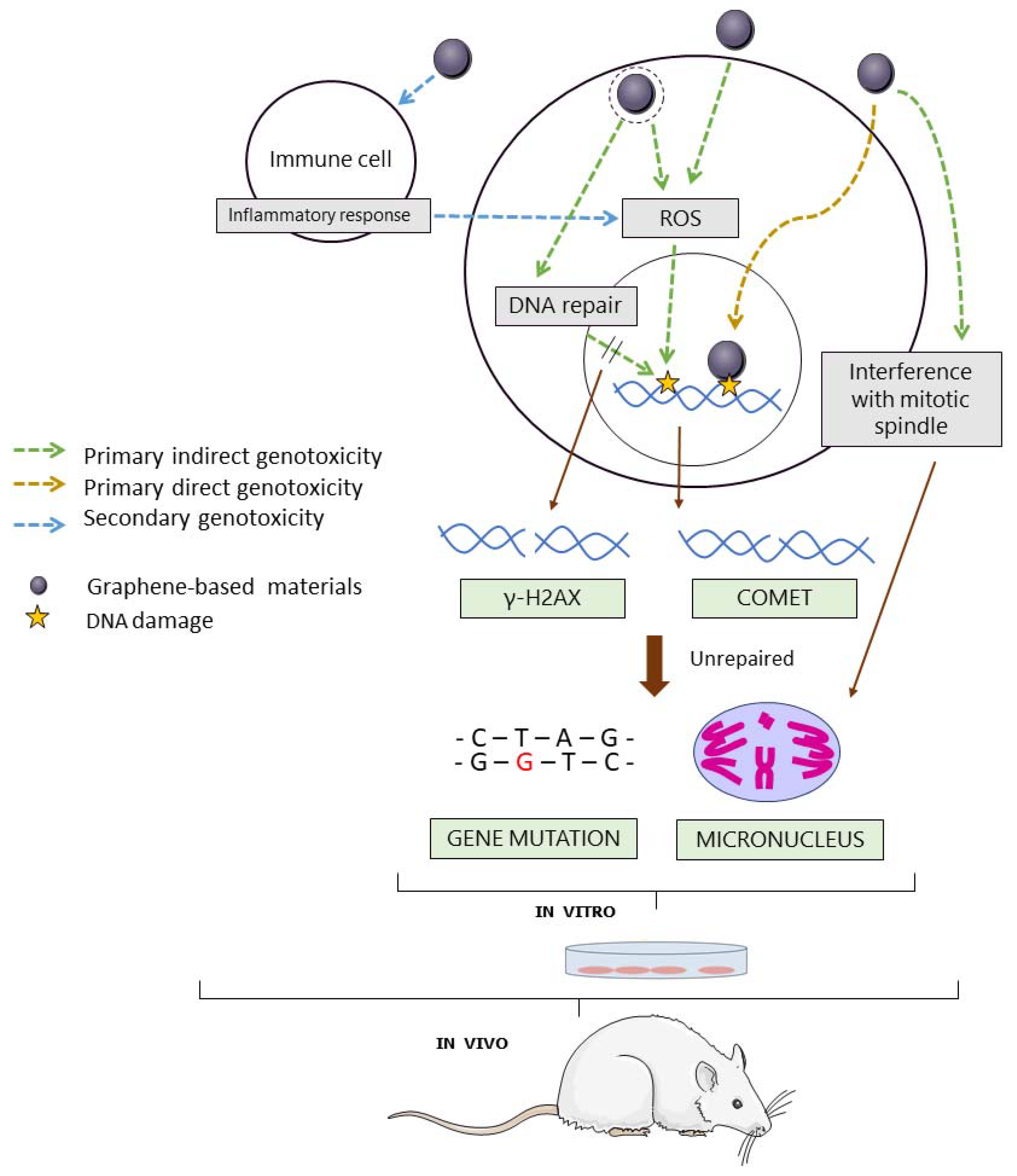 Nanomaterials 12 01795 g002 Nanomaterials 12 01795 g002