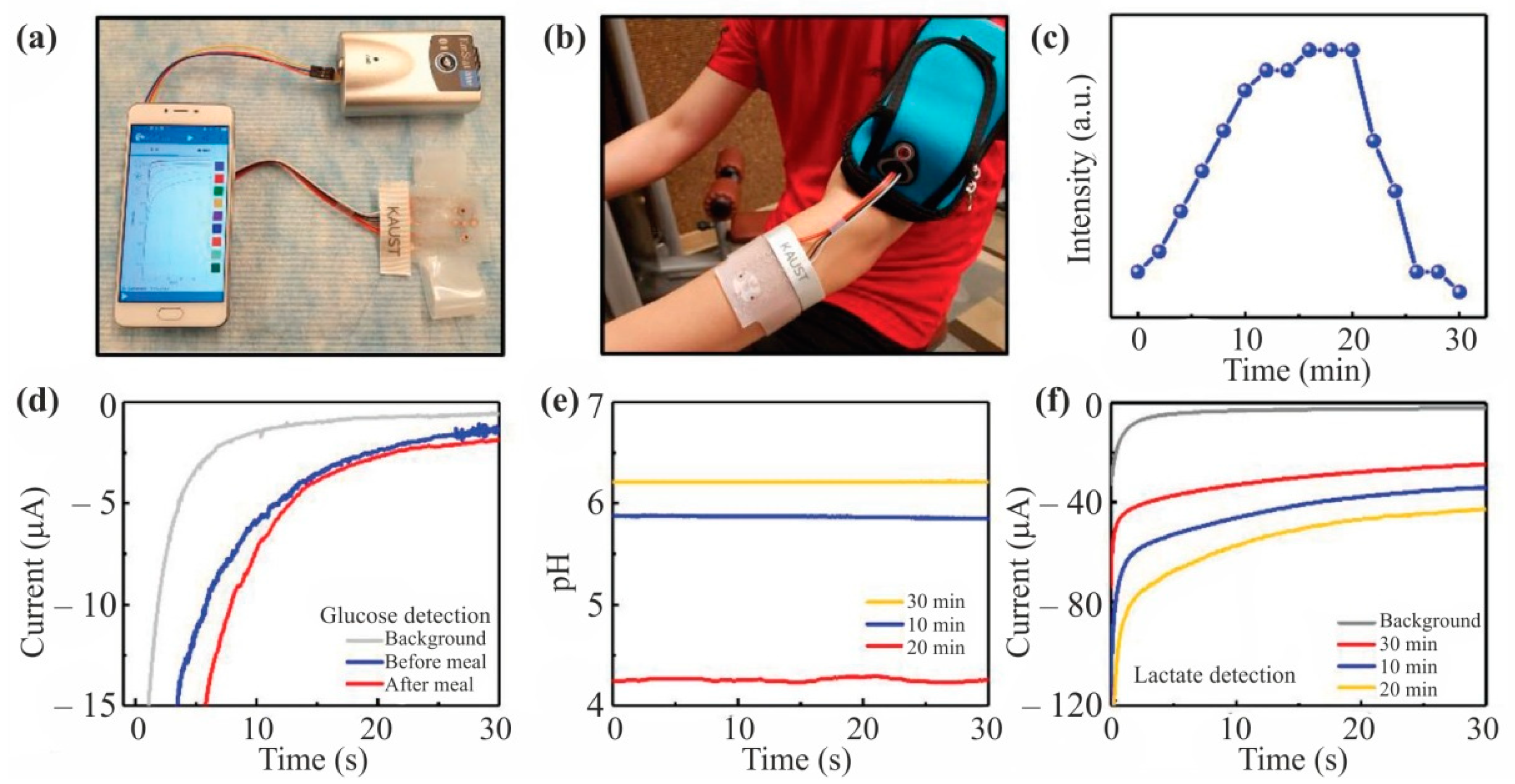 Nanomaterials 12 01797 g006 550
