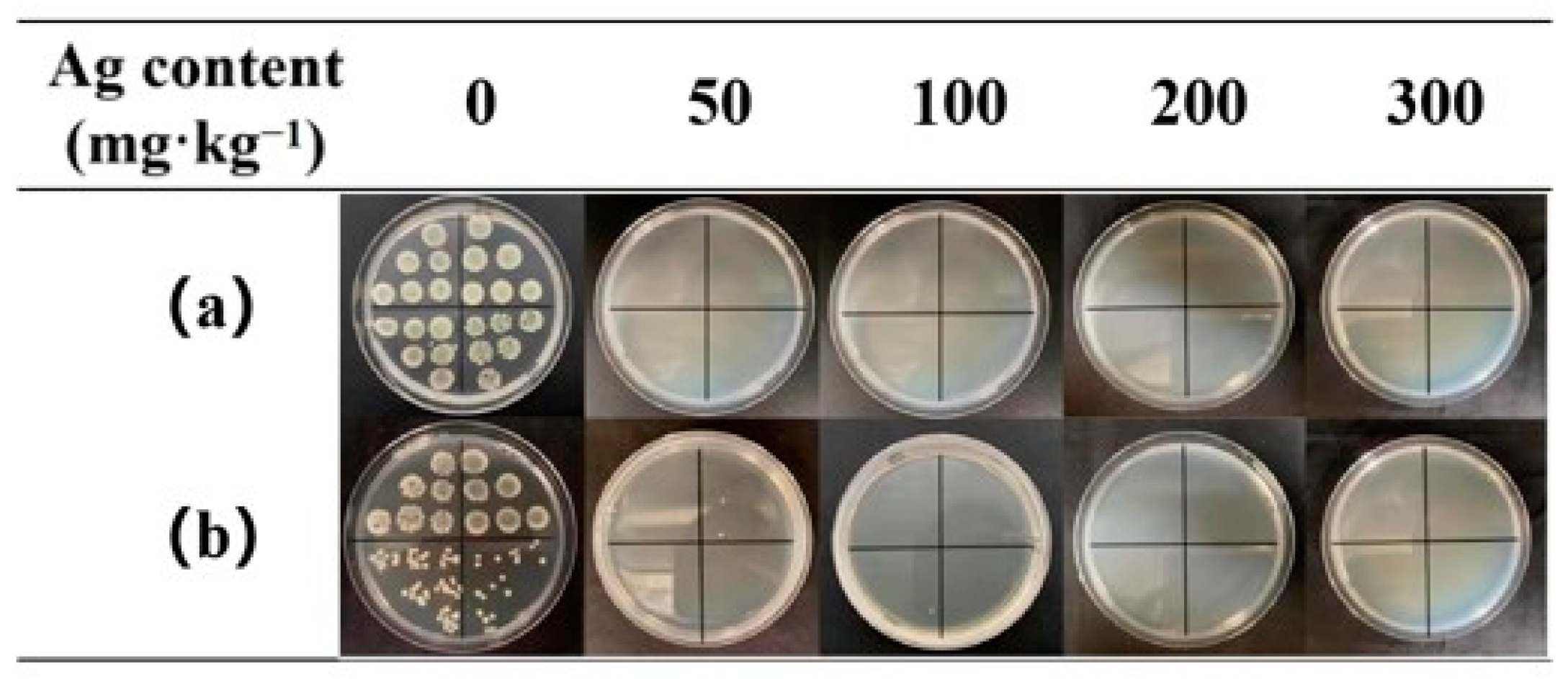 Nanomaterials 12 01813 g006 550