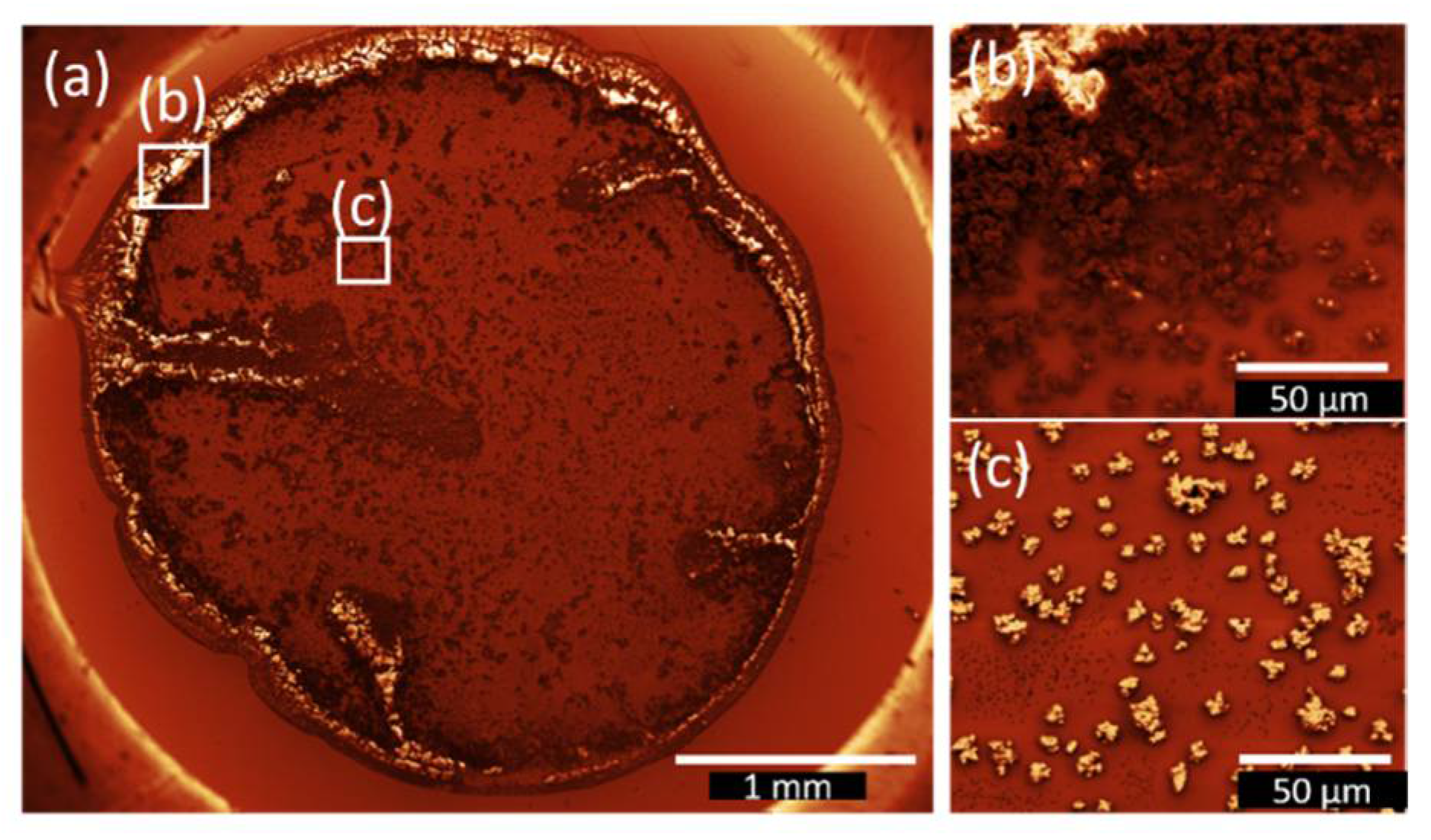 Nanomaterials 12 01815 g004 550