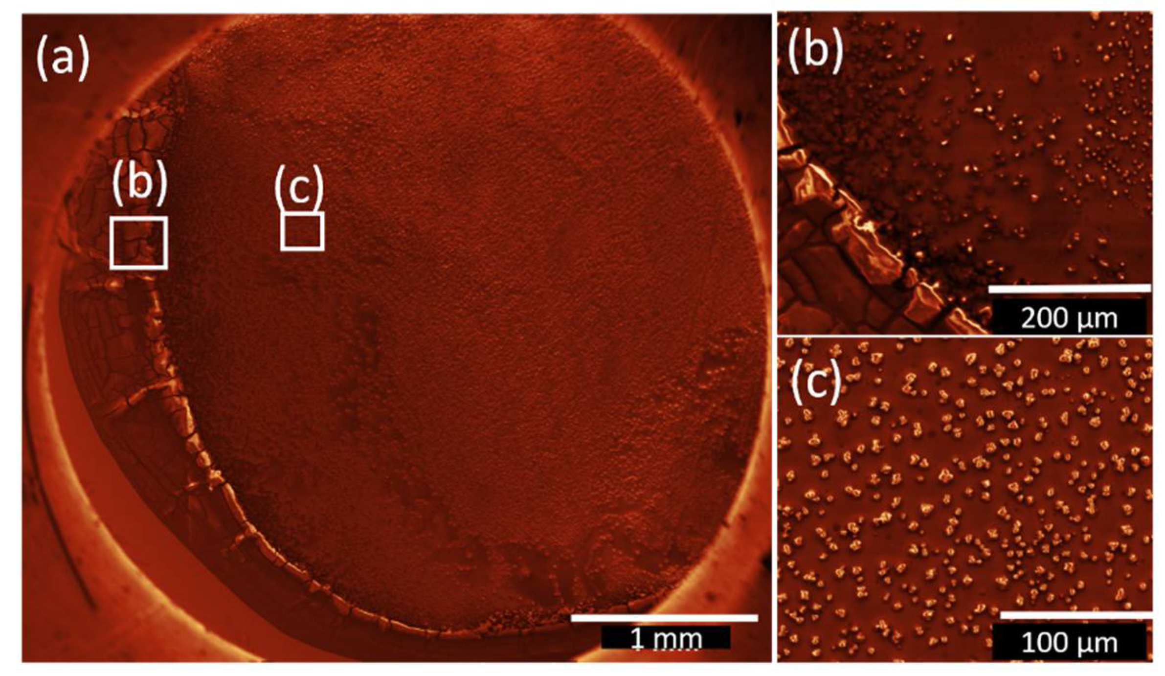 Nanomaterials 12 01815 g005 550