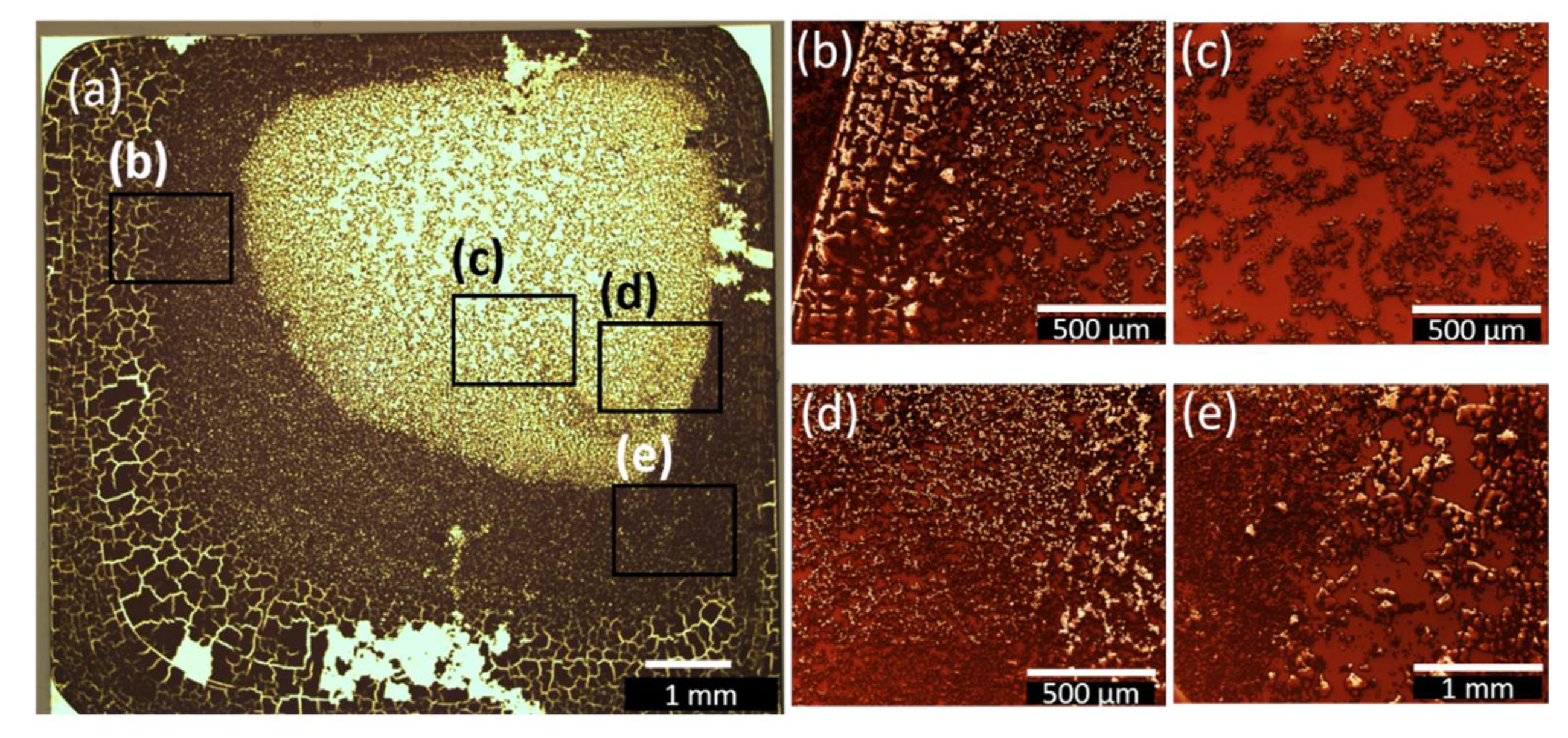 Nanomaterials 12 01815 g006 550