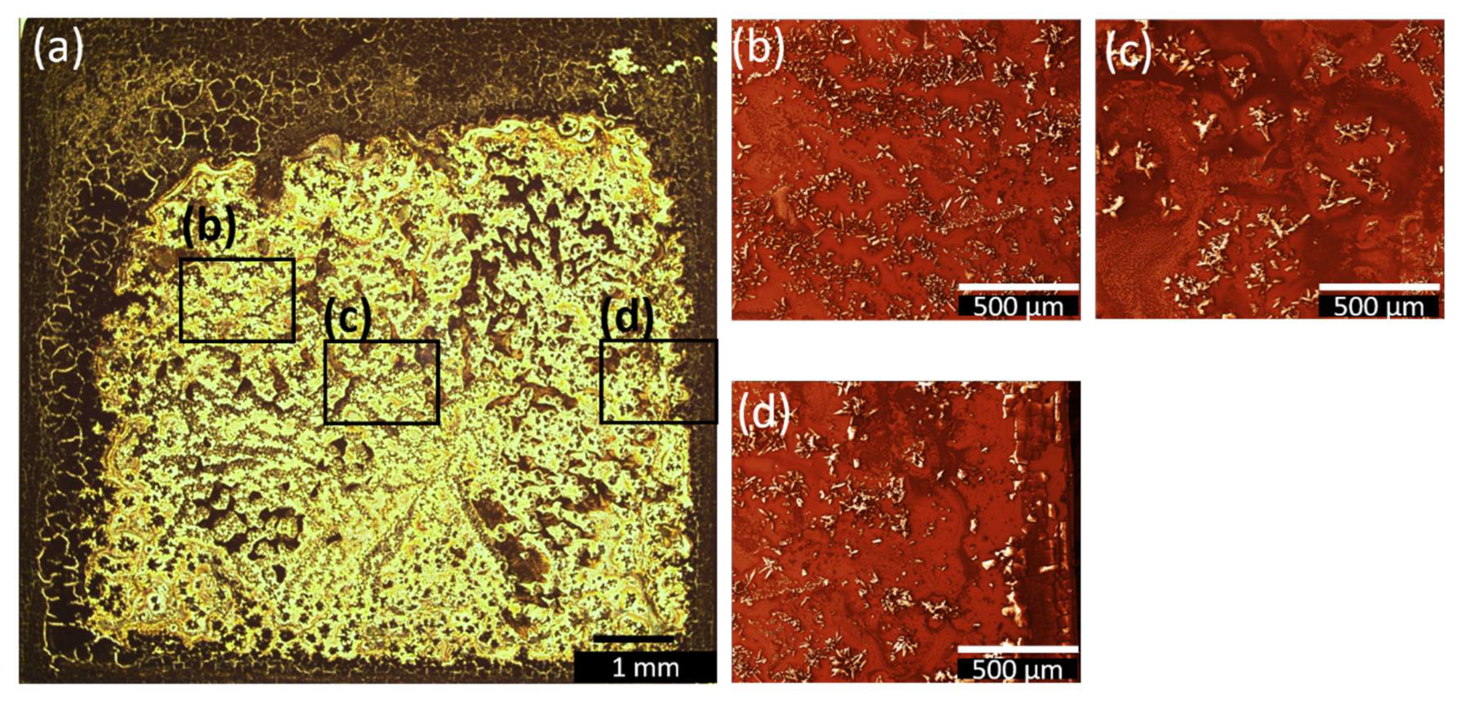 Nanomaterials 12 01815 g007 550