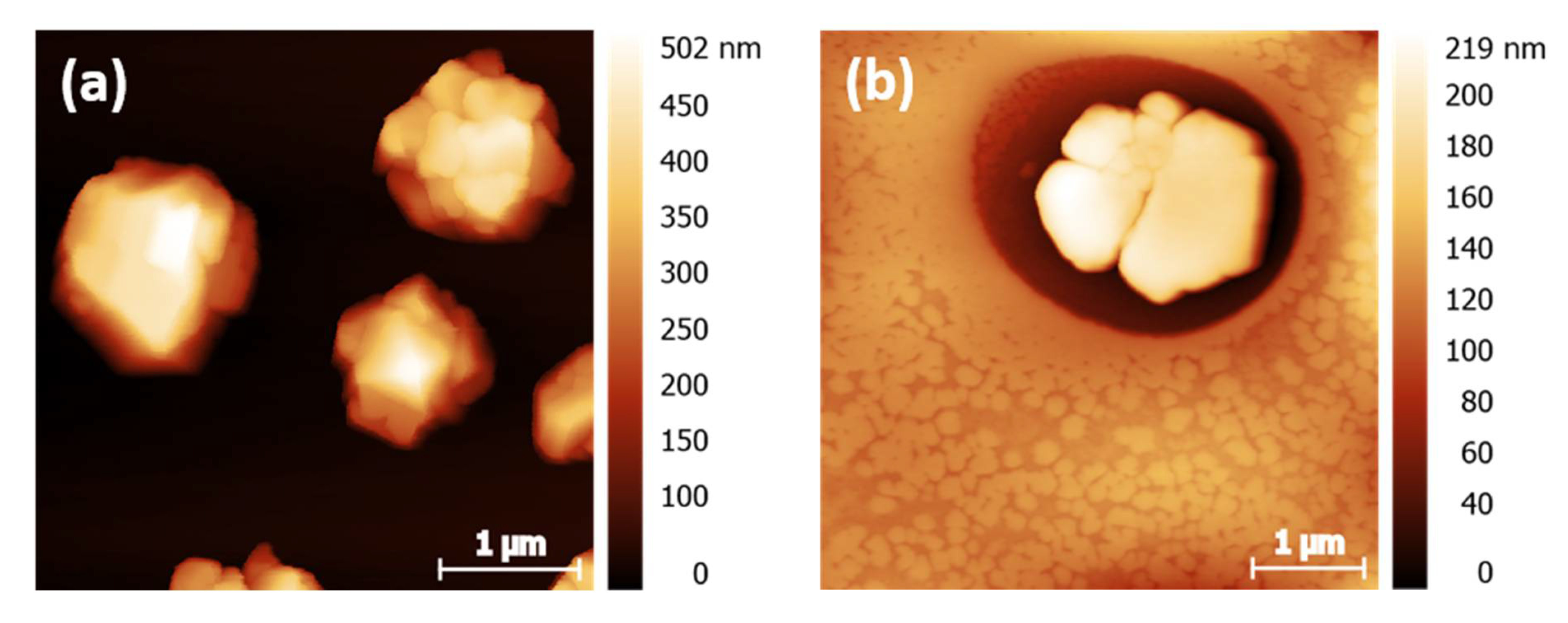 Nanomaterials 12 01815 g009a 550