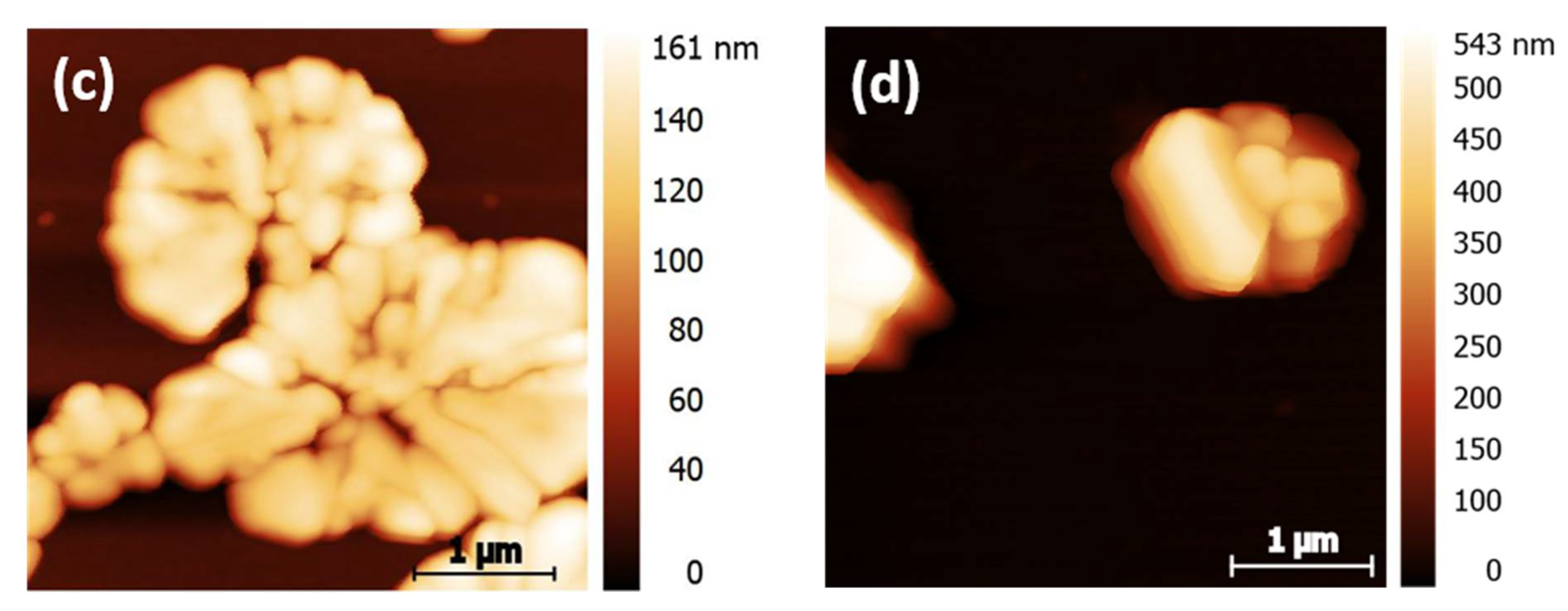 Nanomaterials 12 01815 g009b 550