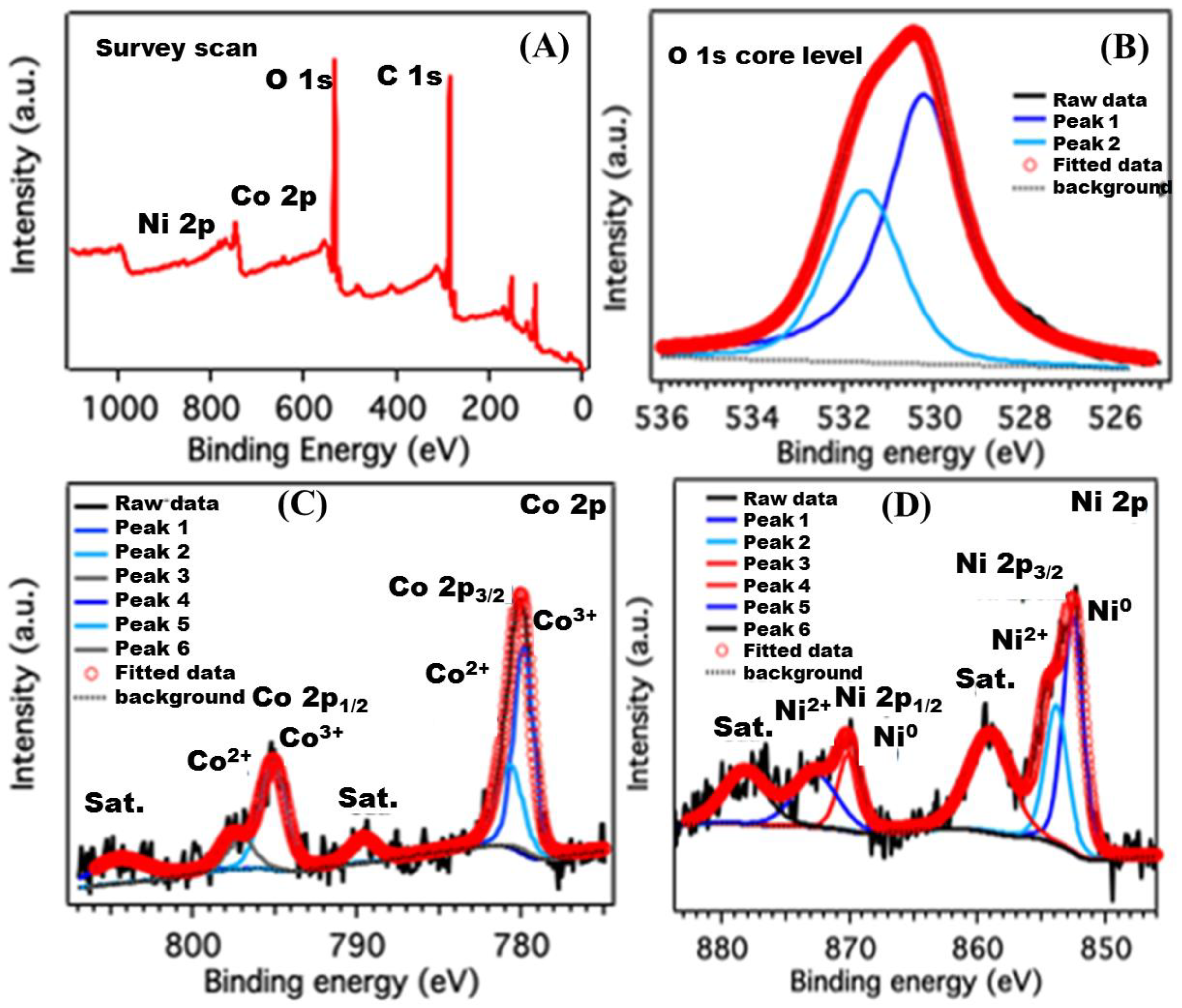 Nanomaterials 12 01819 g003