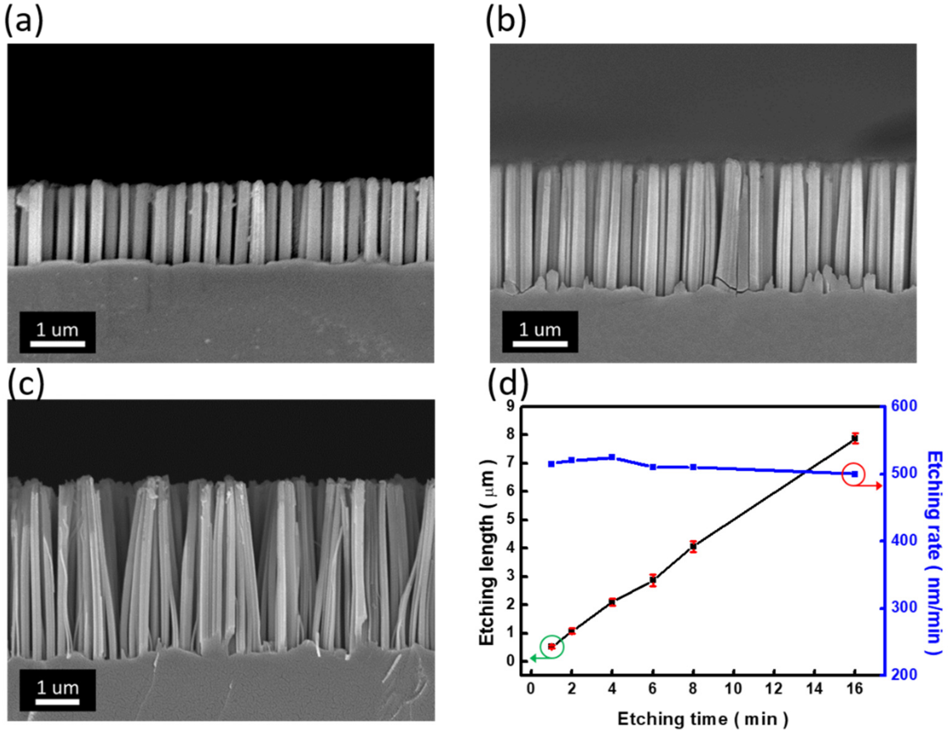 Nanomaterials 12 01821 g003 550