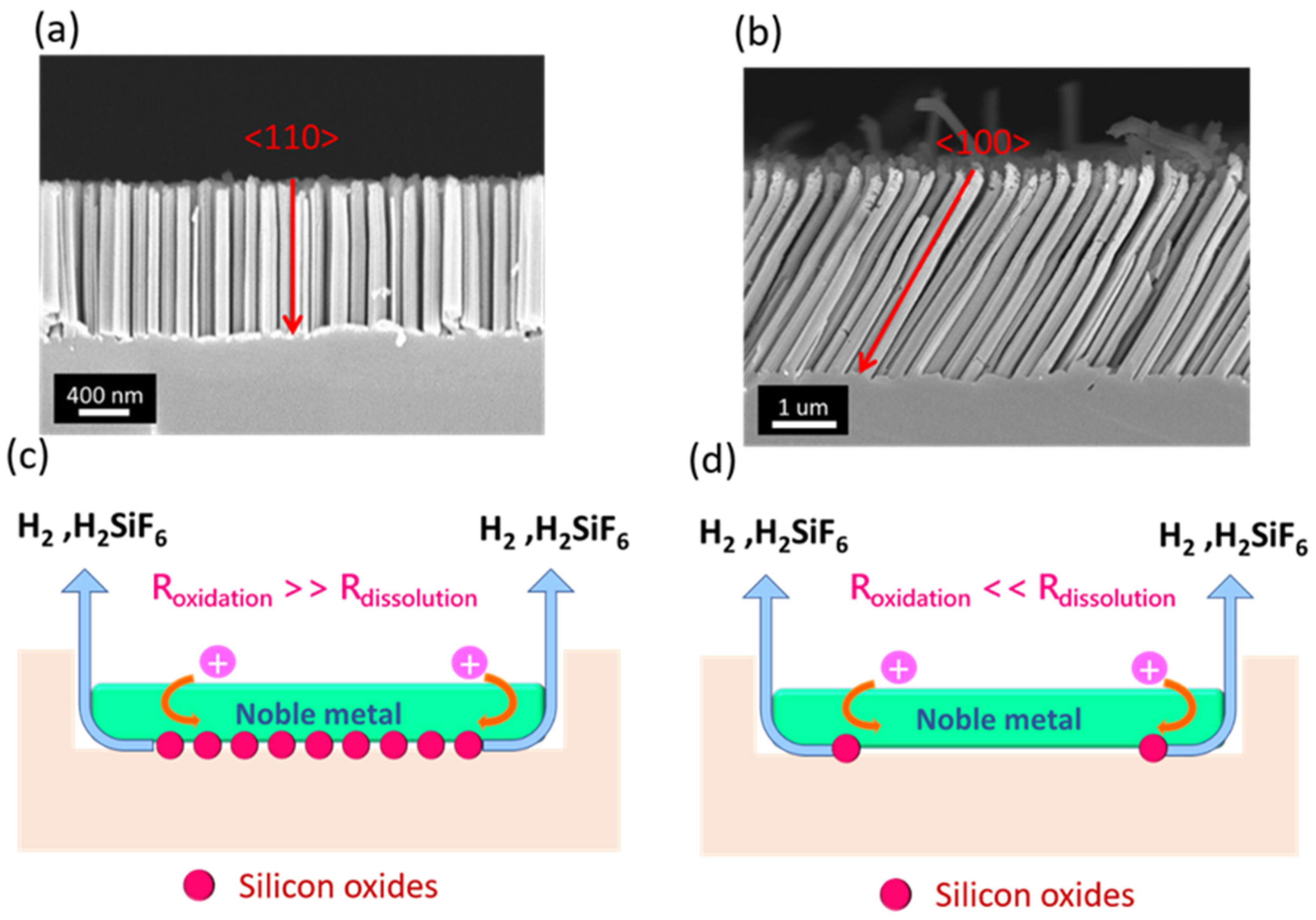 Nanomaterials 12 01821 g005 550