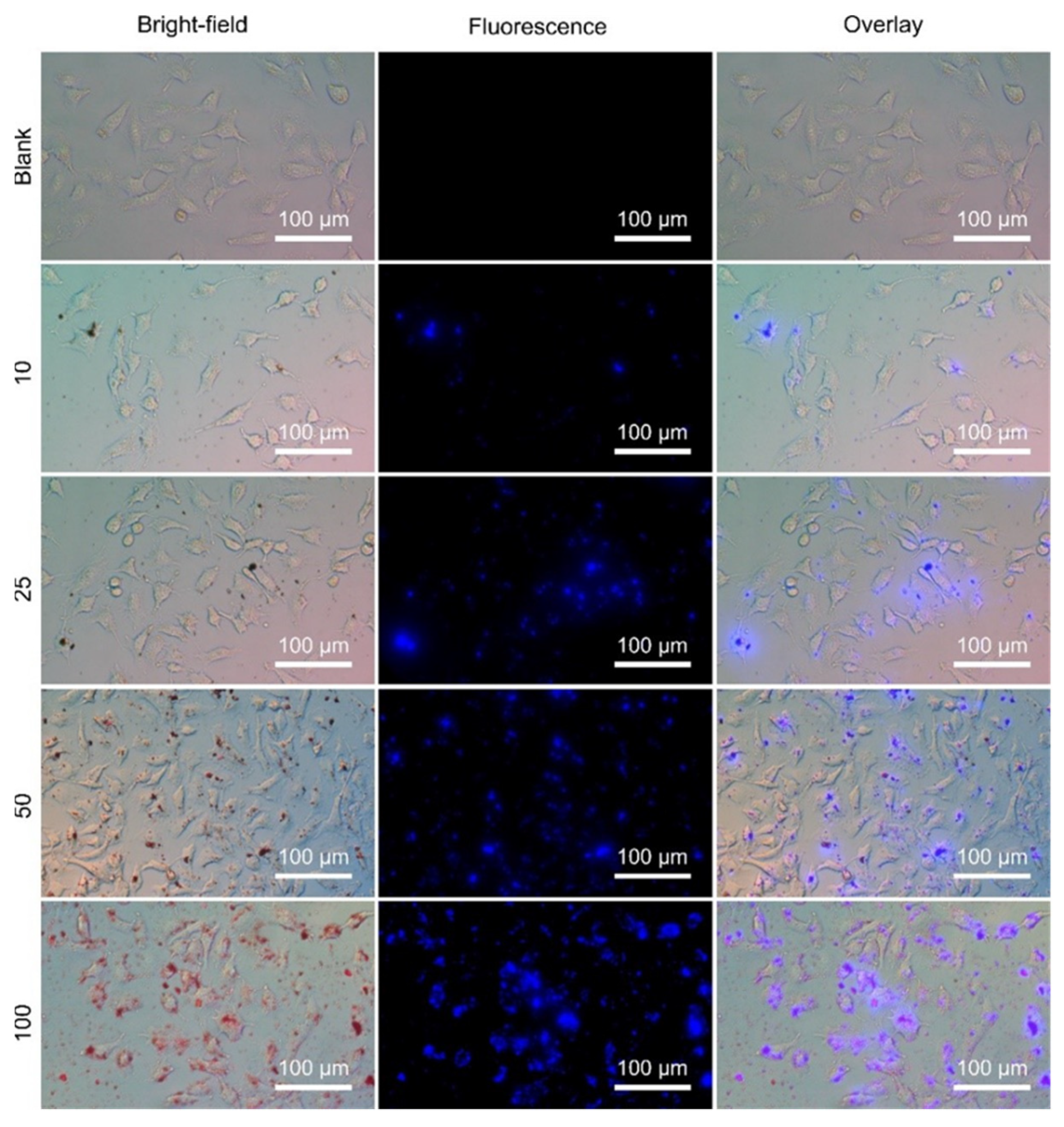 Nanomaterials 12 01826 g009