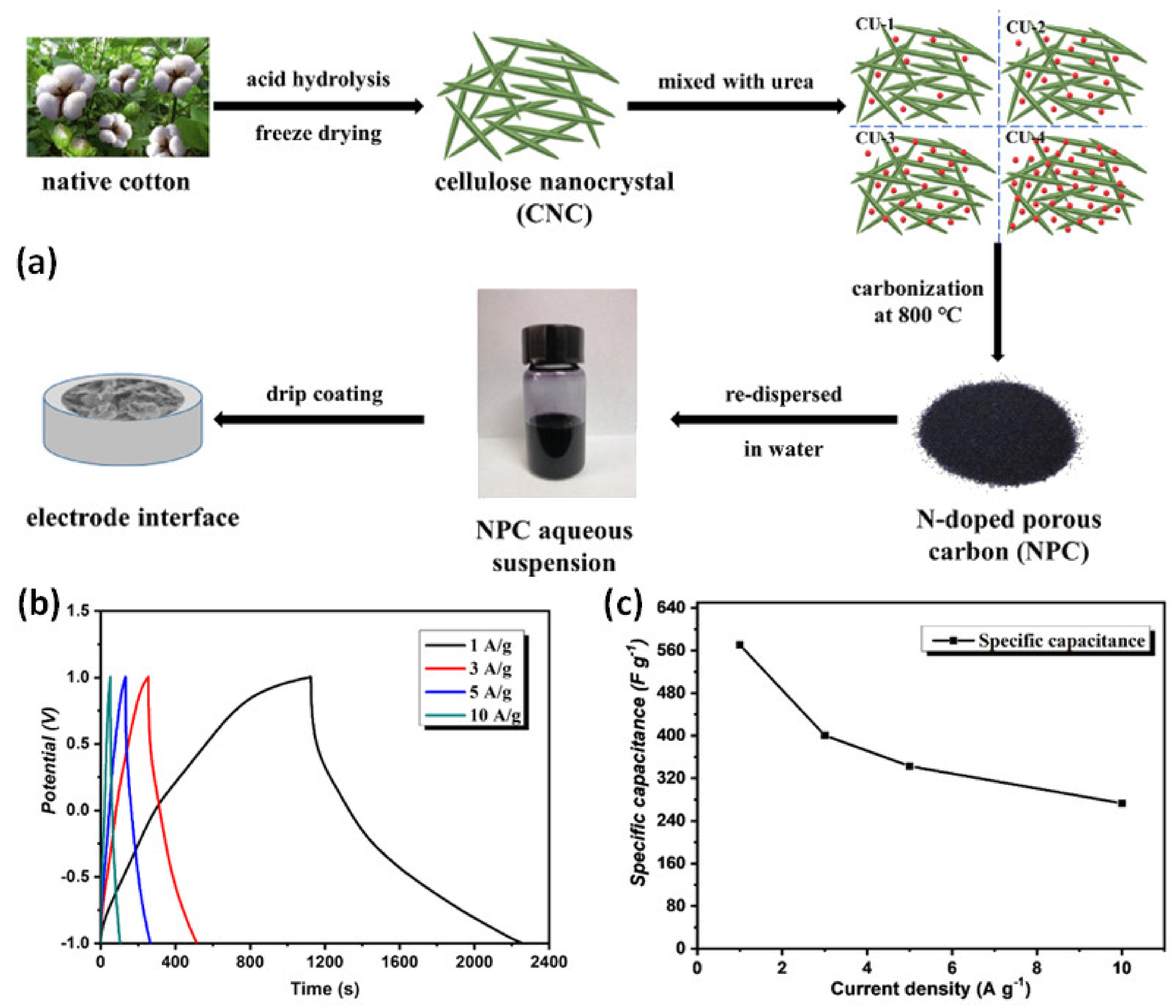 Nanomaterials 12 01828 g012