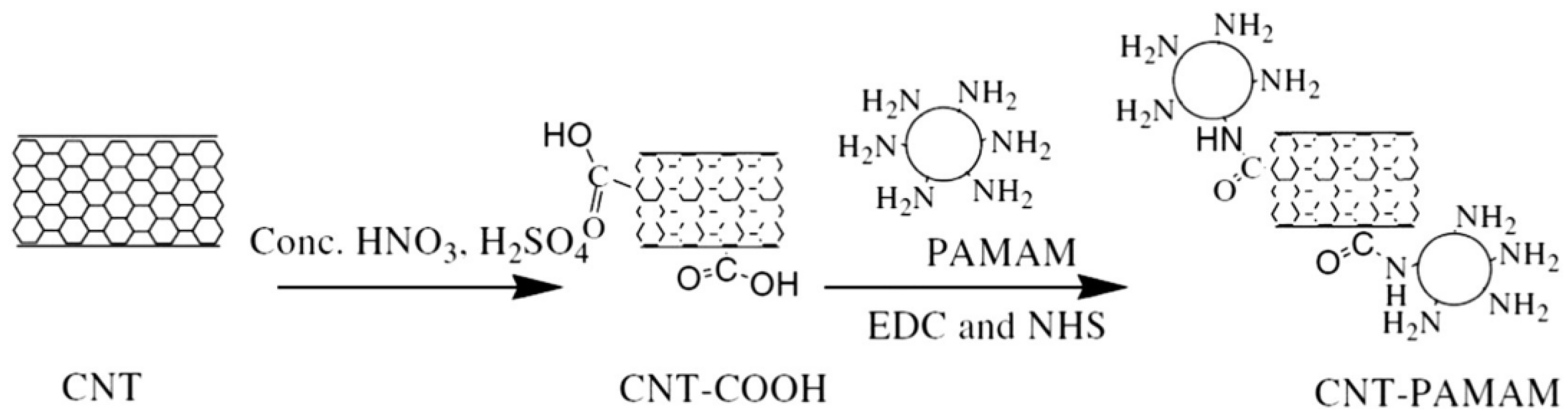 Nanomaterials 12 01831 g005