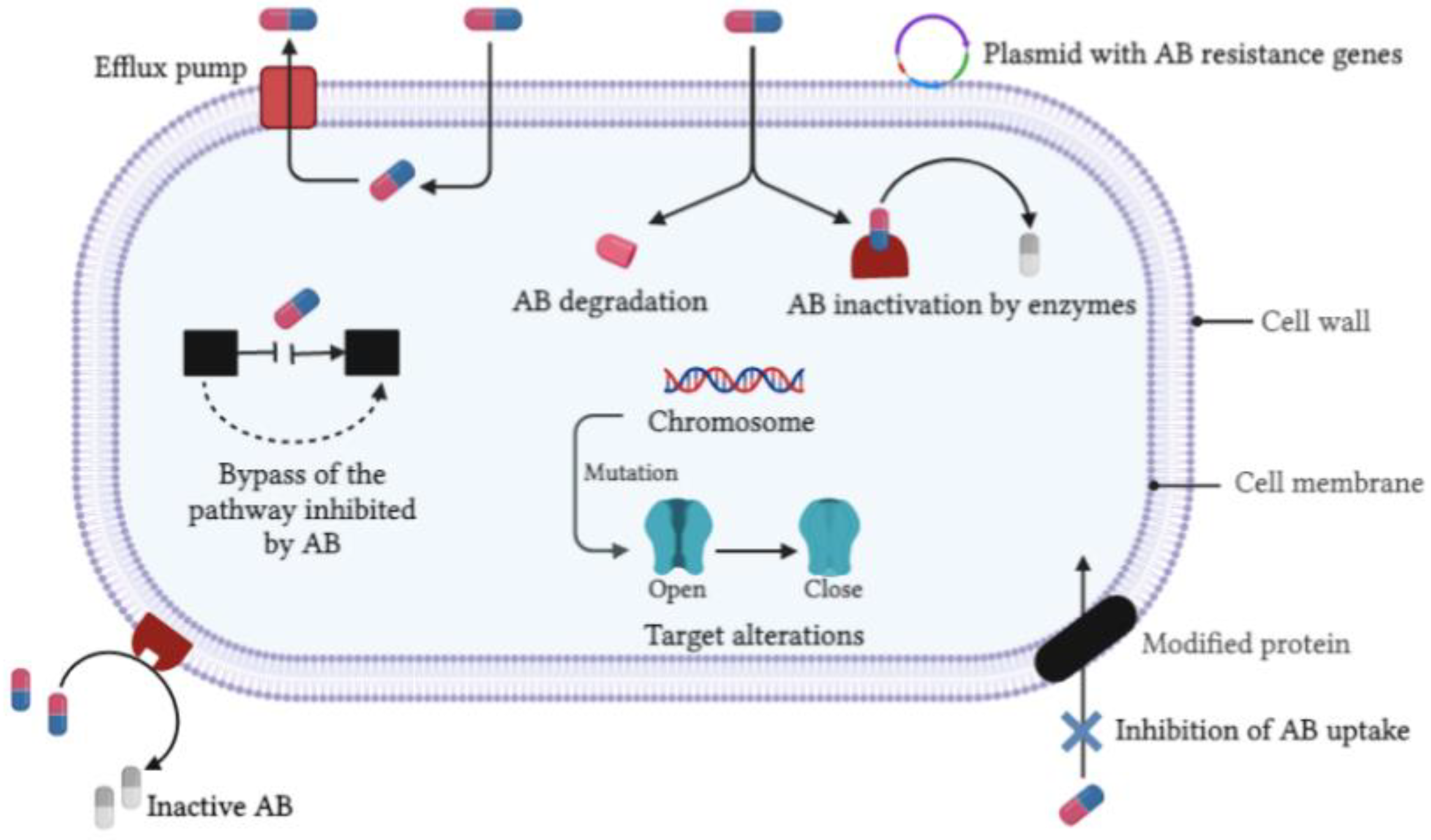Nanomaterials 12 01841 g001 Nanomaterials 12 01841 g001