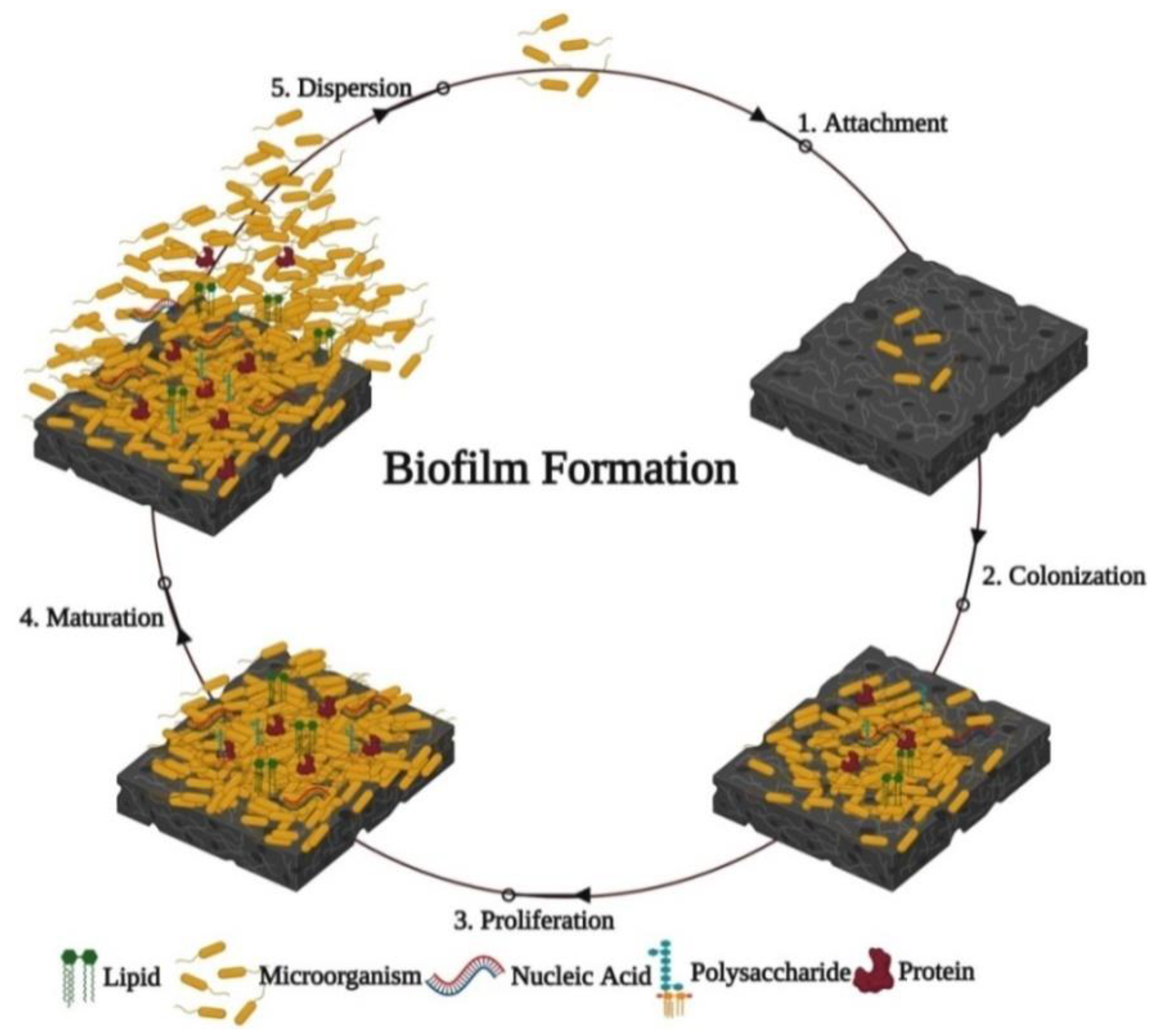 Nanomaterials 12 01841 g002 Nanomaterials 12 01841 g002