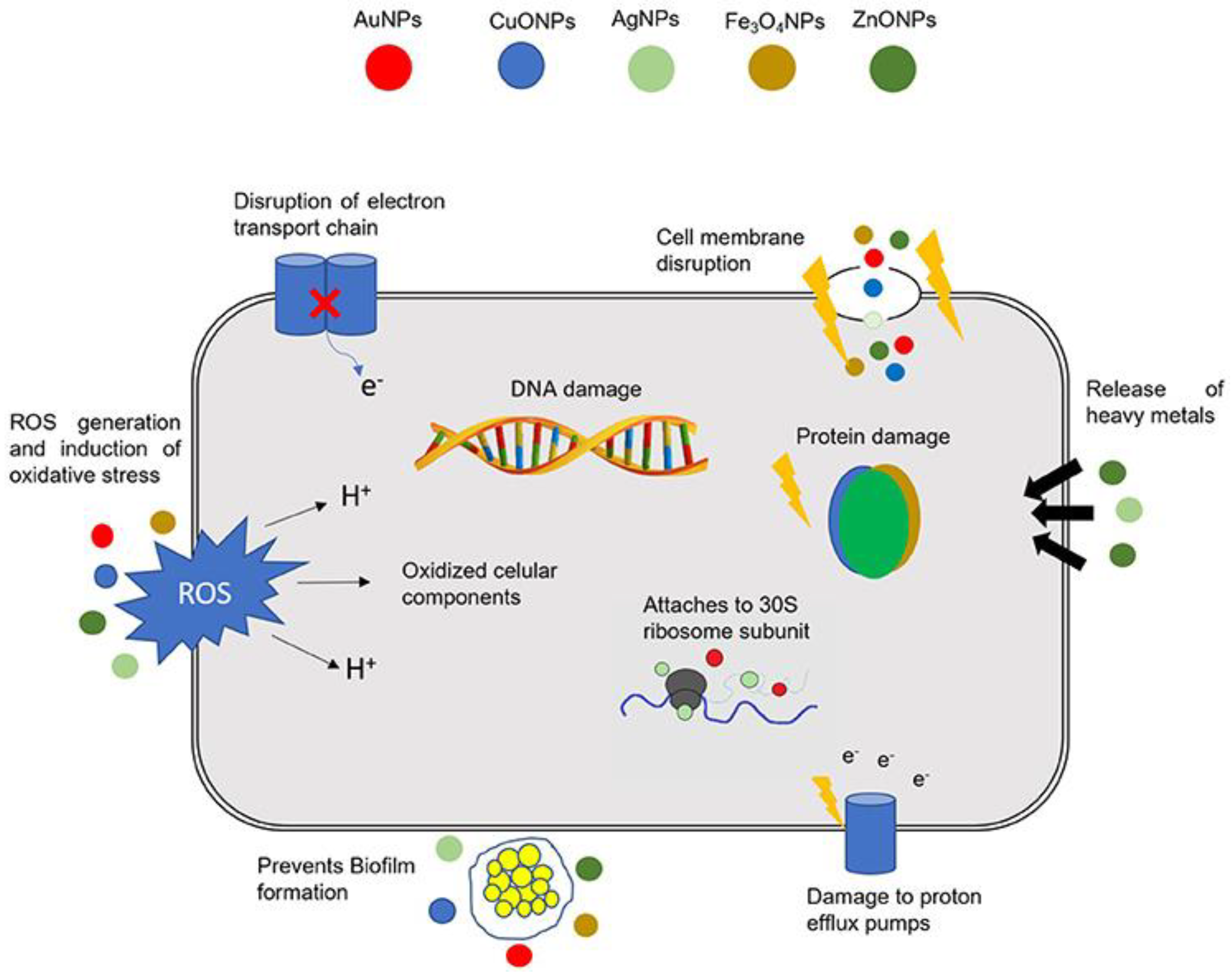 Nanomaterials 12 01841 g005 Nanomaterials 12 01841 g005