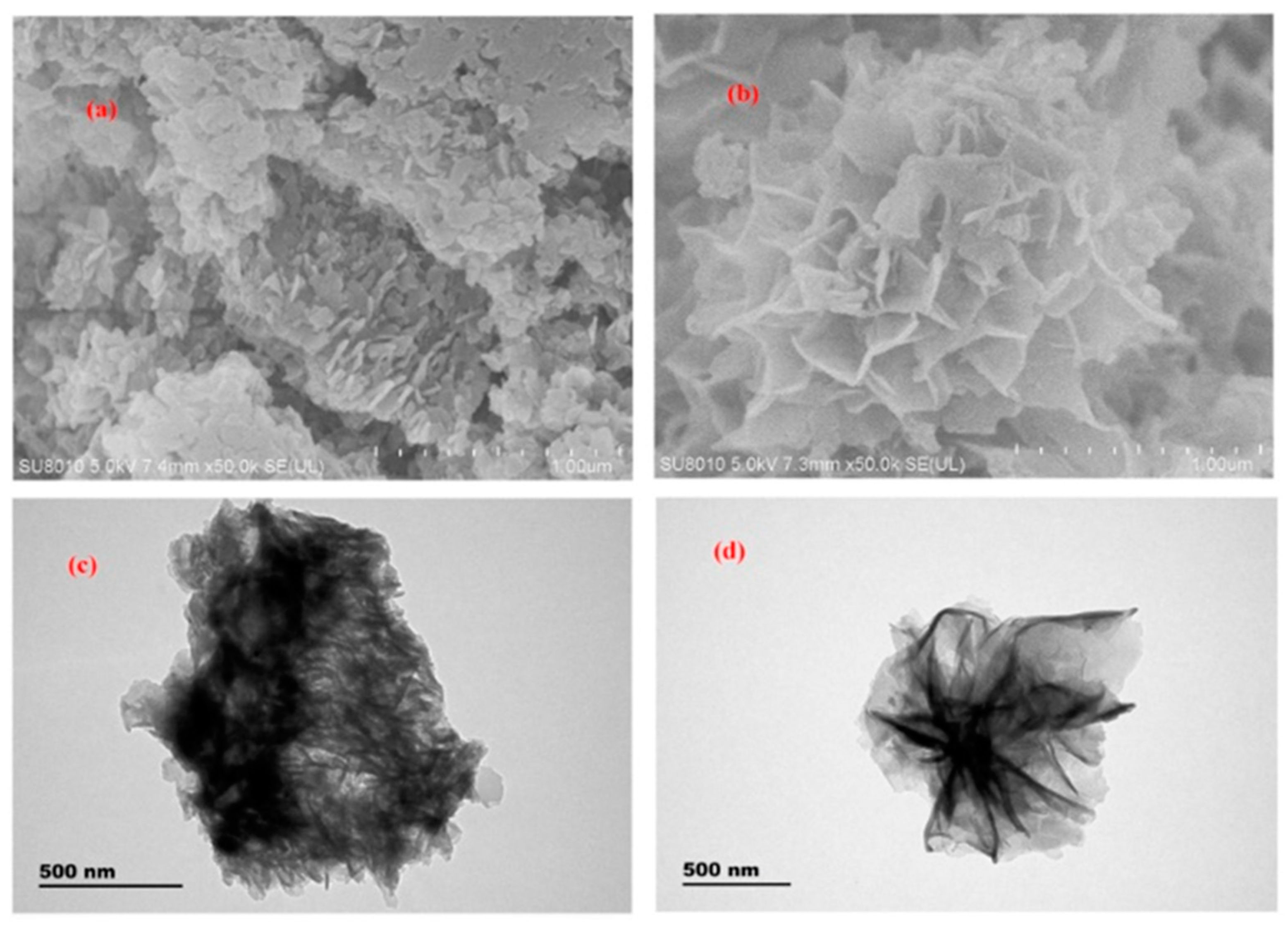 Nanomaterials 12 01845 g010 550