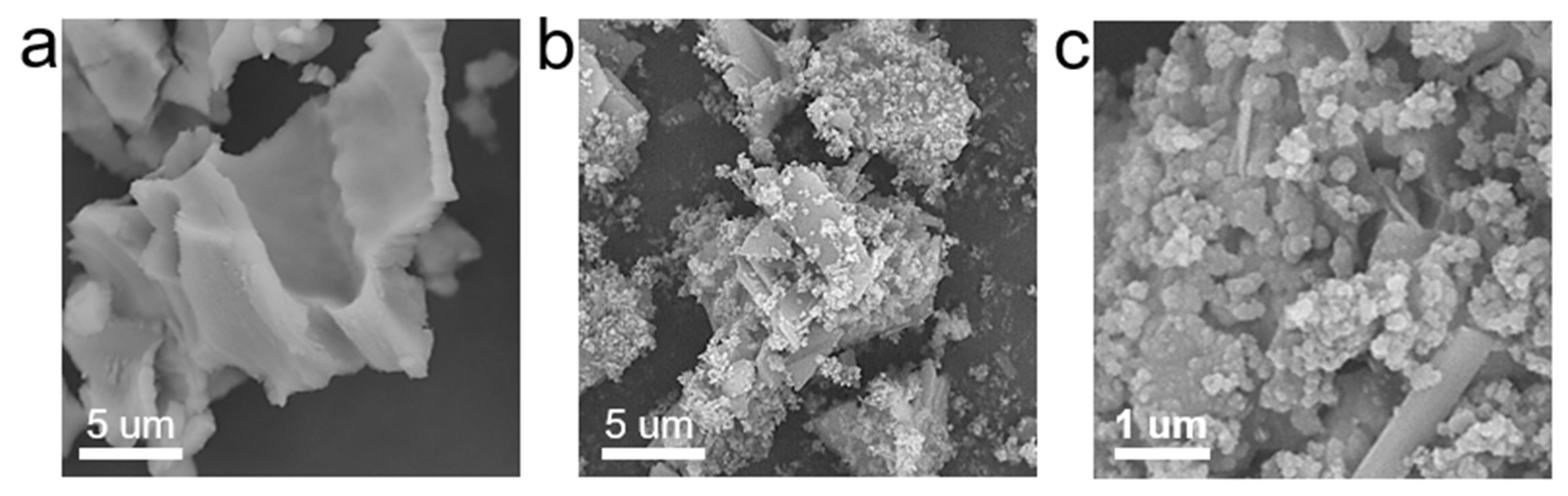 Nanomaterials 12 01846 g002
