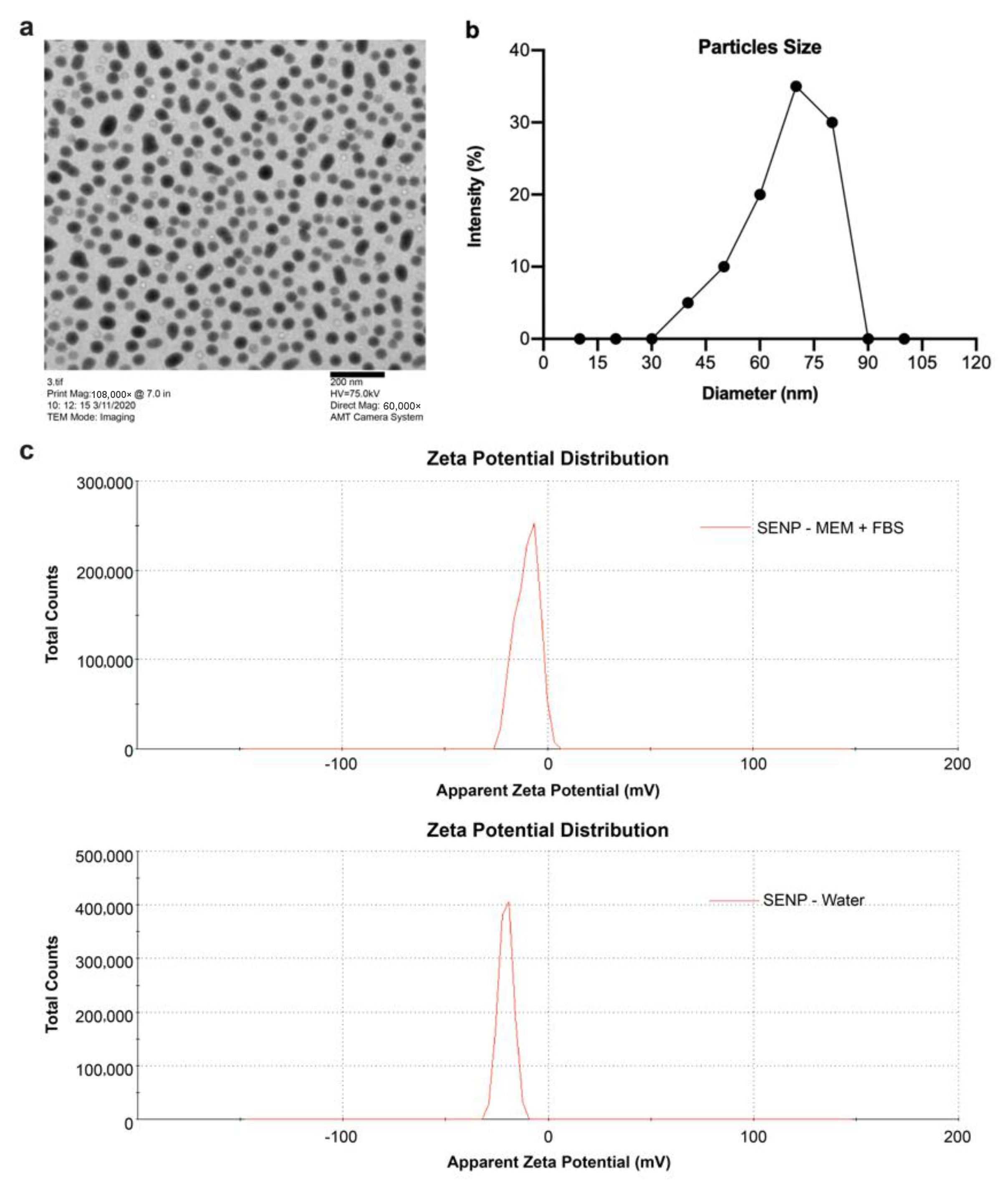 Nanomaterials 12 01850 g001 550