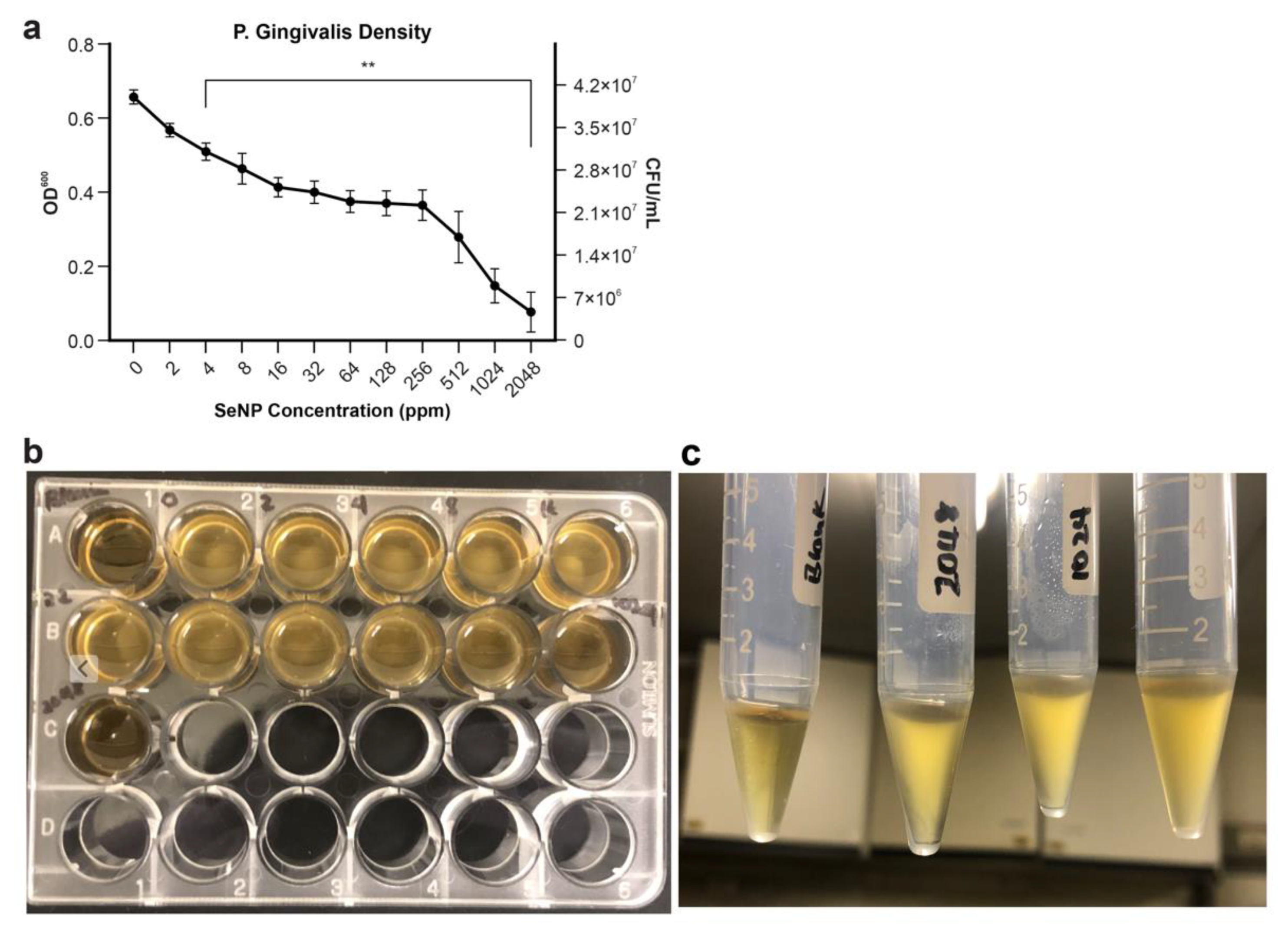 Nanomaterials 12 01850 g005 550