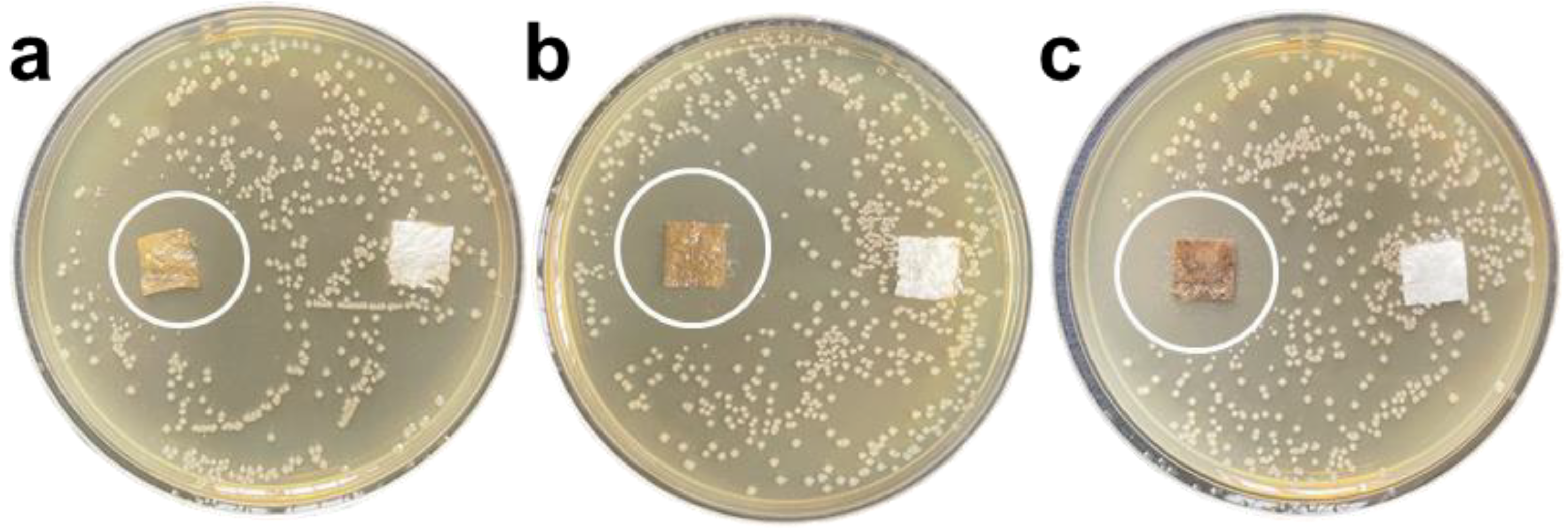 Nanomaterials 12 01857 g005