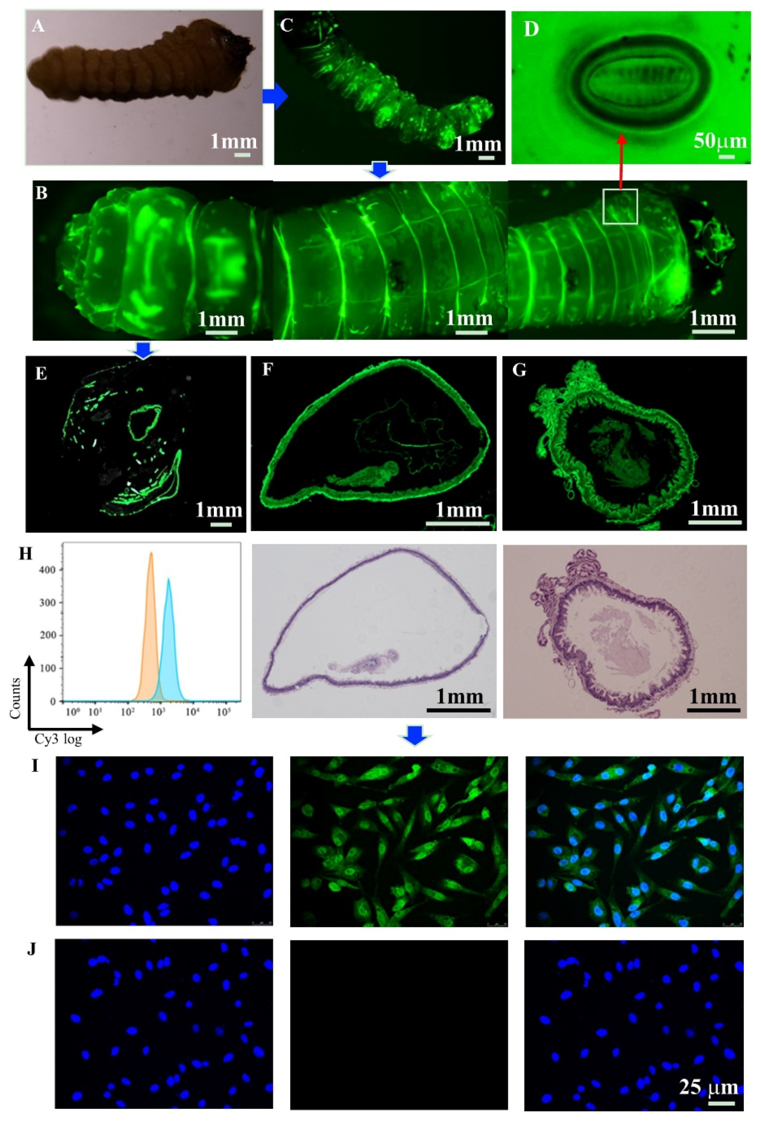 Nanomaterials 12 01863 g006