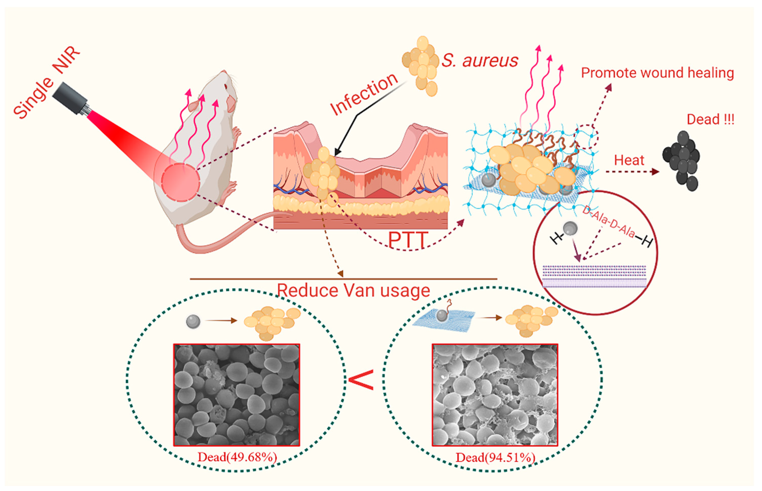 Nanomaterials 12 01865 g001