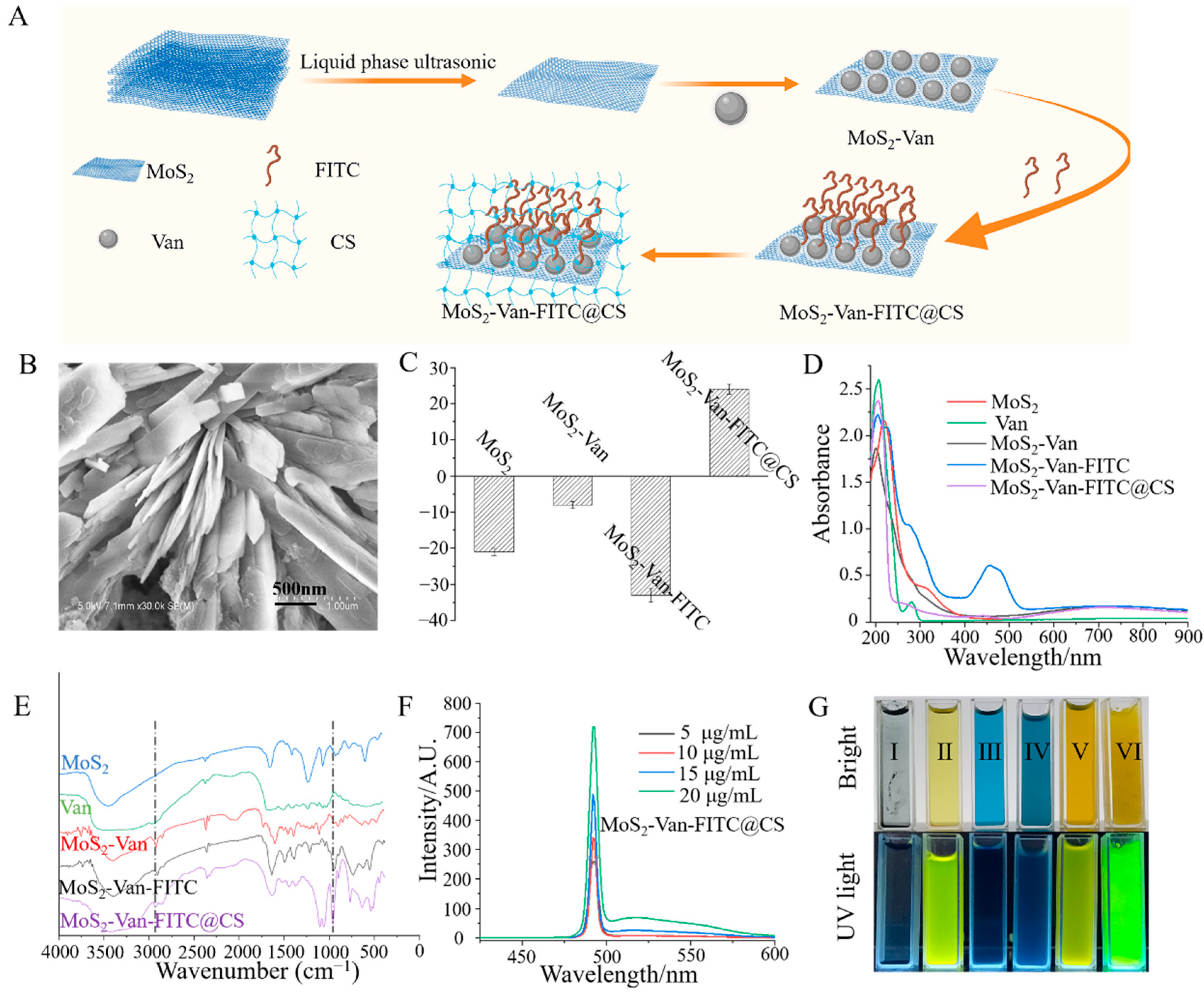 Nanomaterials 12 01865 g002