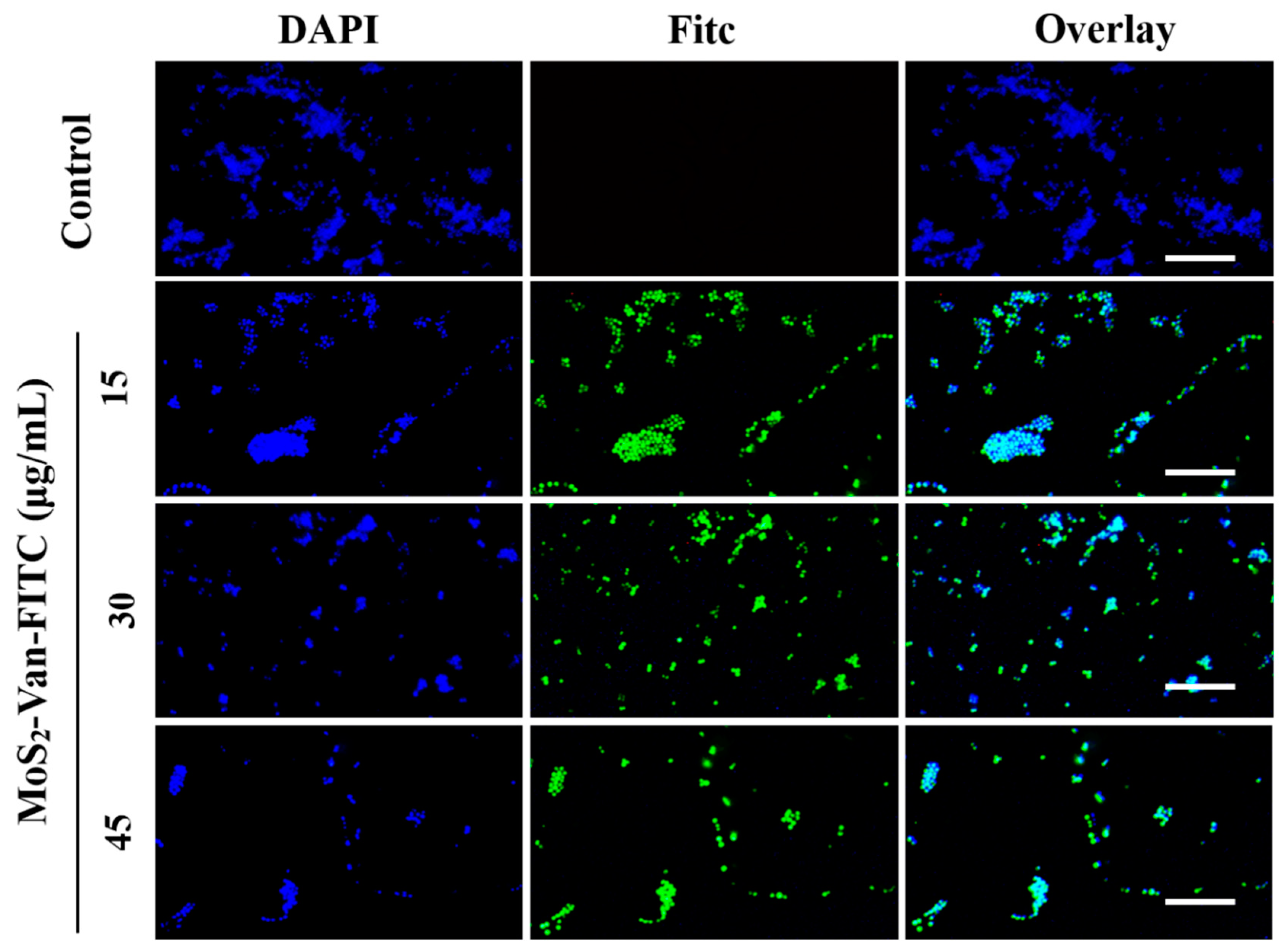 Nanomaterials 12 01865 g005