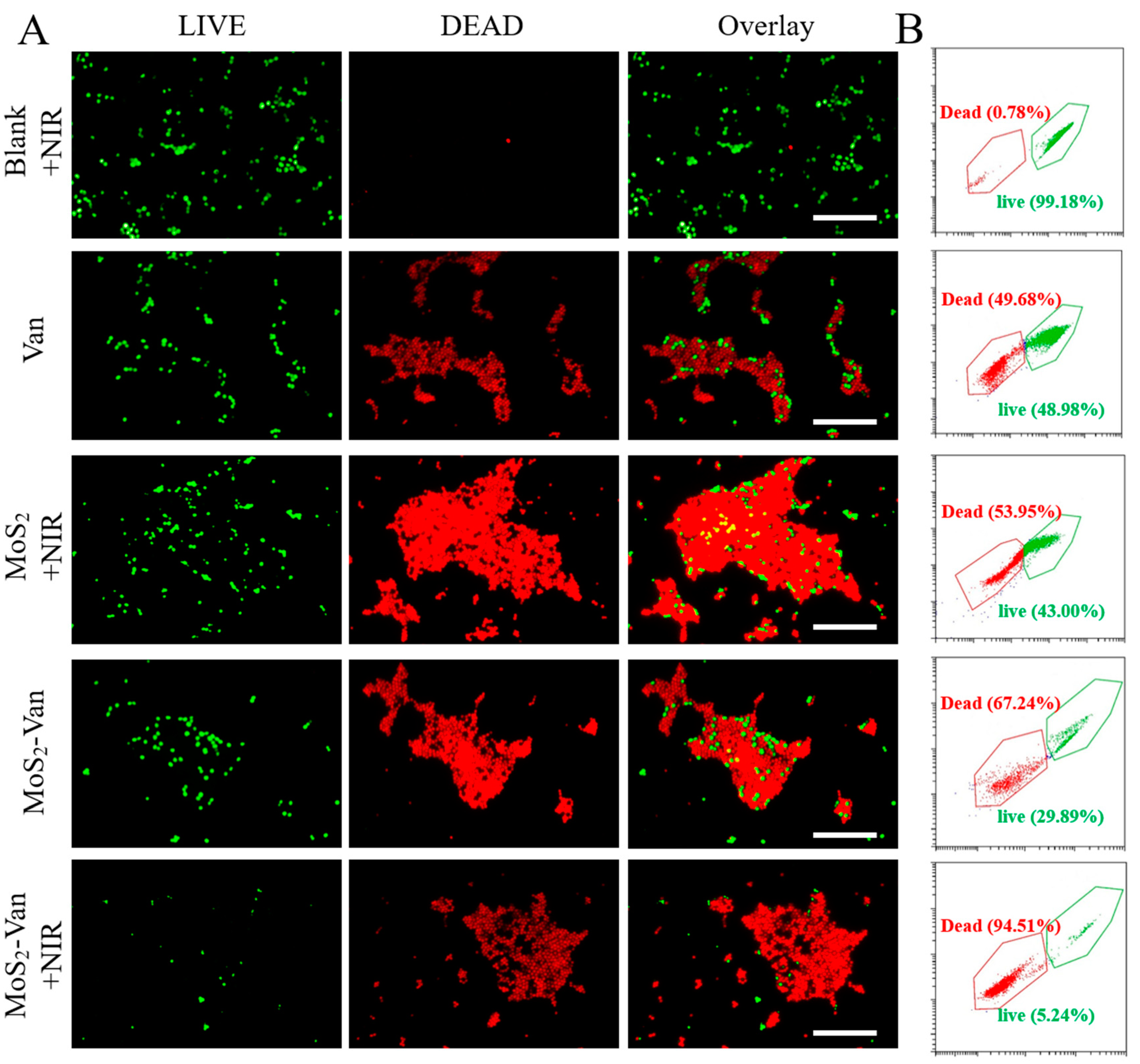 Nanomaterials 12 01865 g006