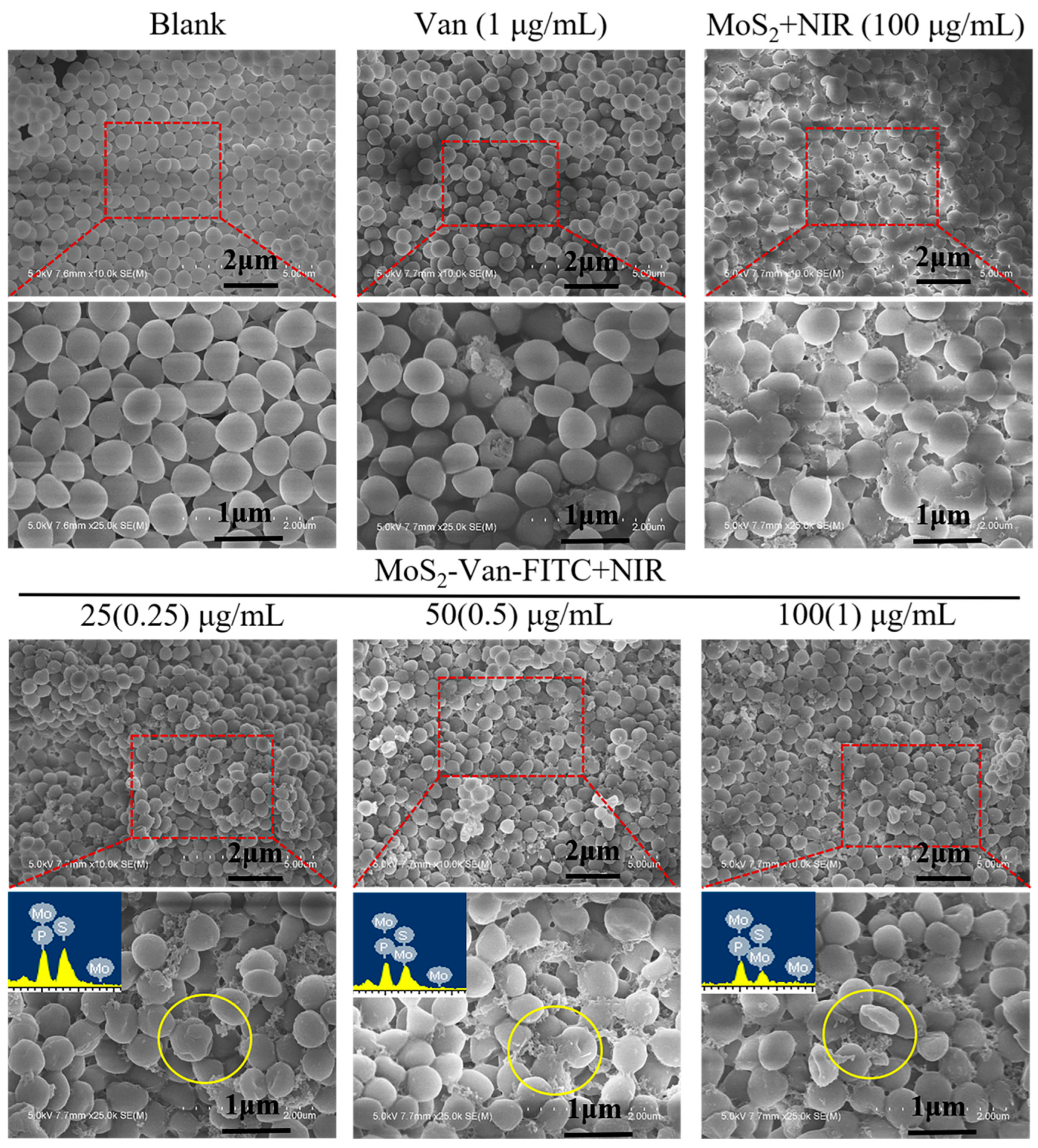 Nanomaterials 12 01865 g007