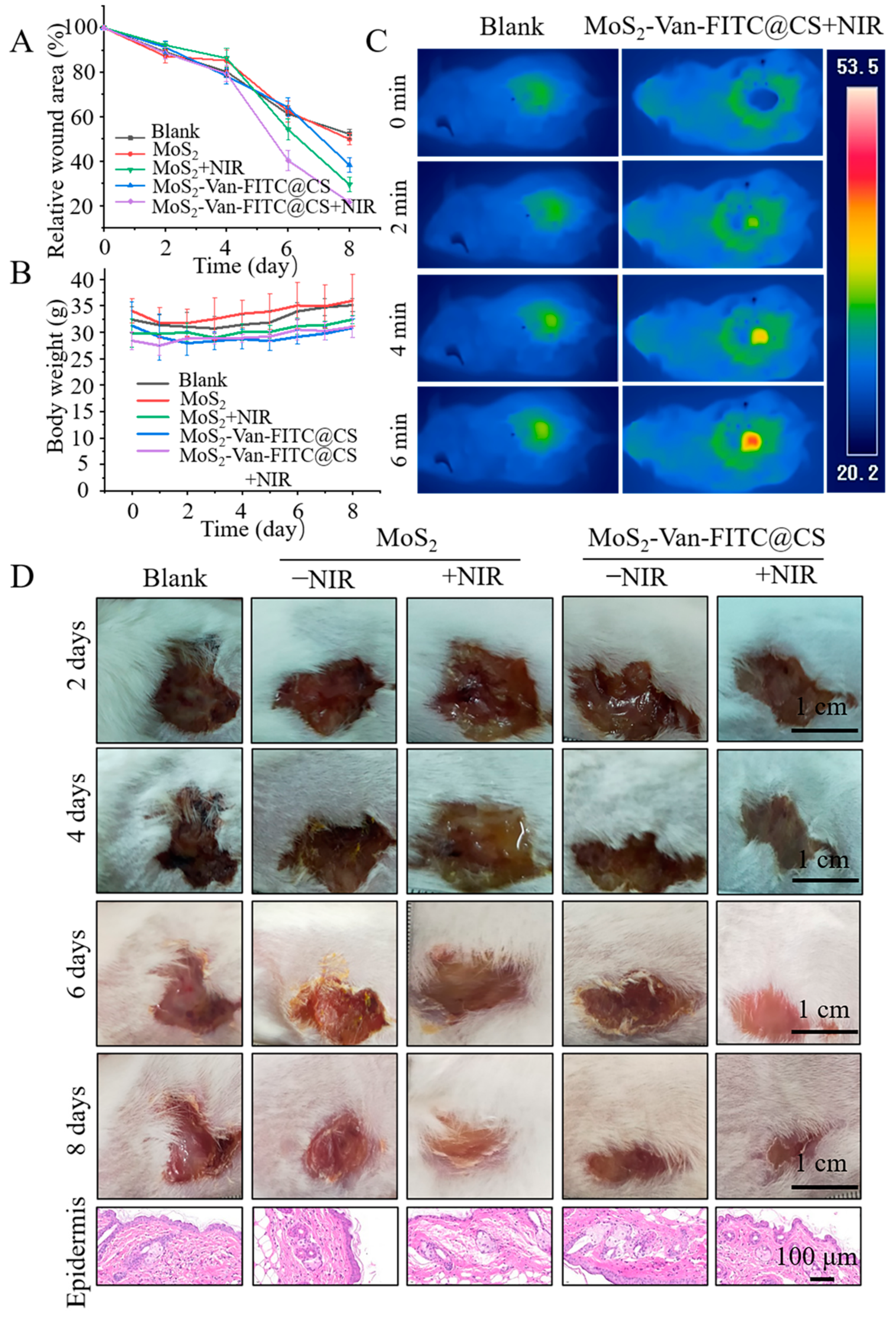 Nanomaterials 12 01865 g008