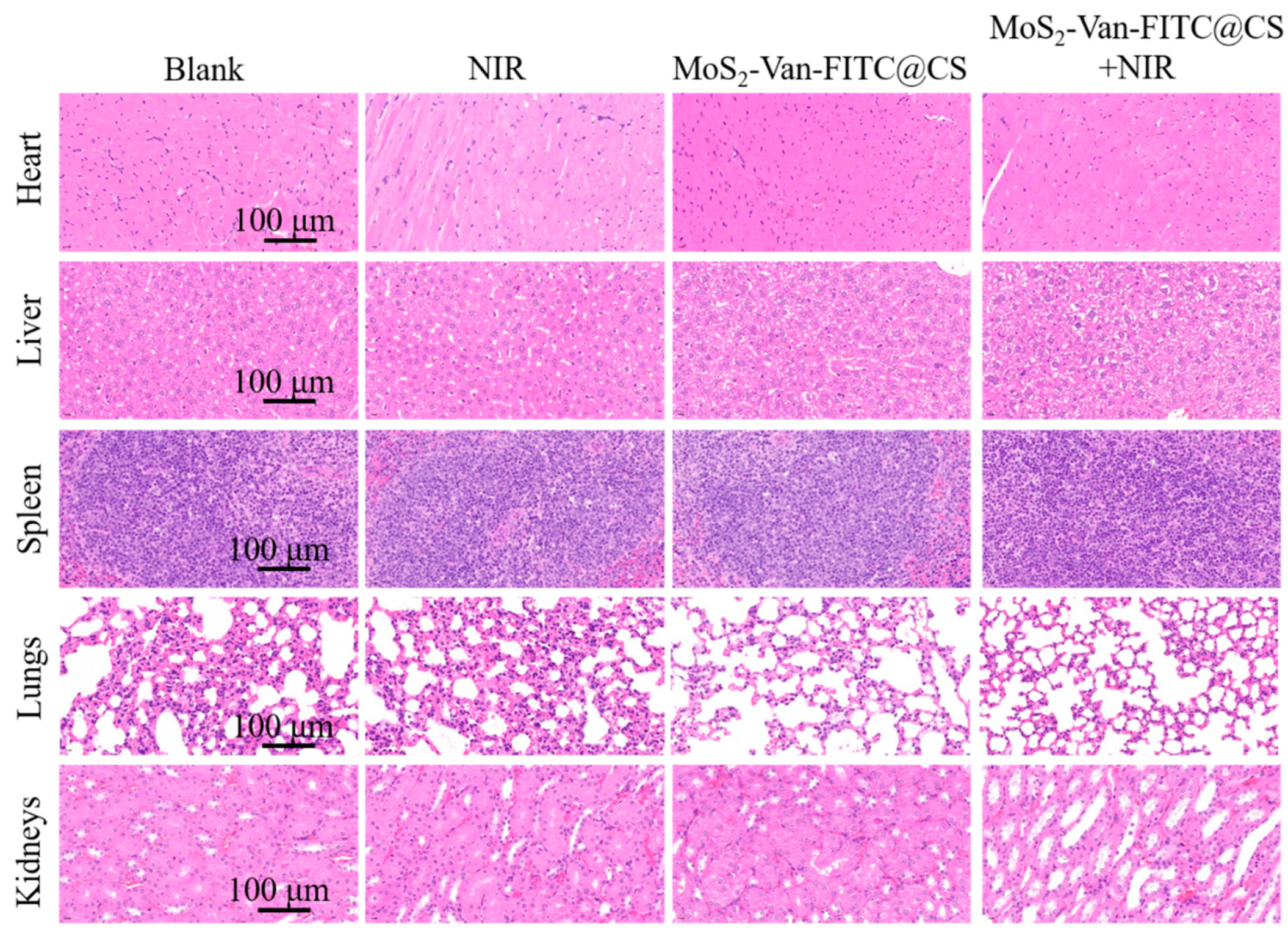 Nanomaterials 12 01865 g009