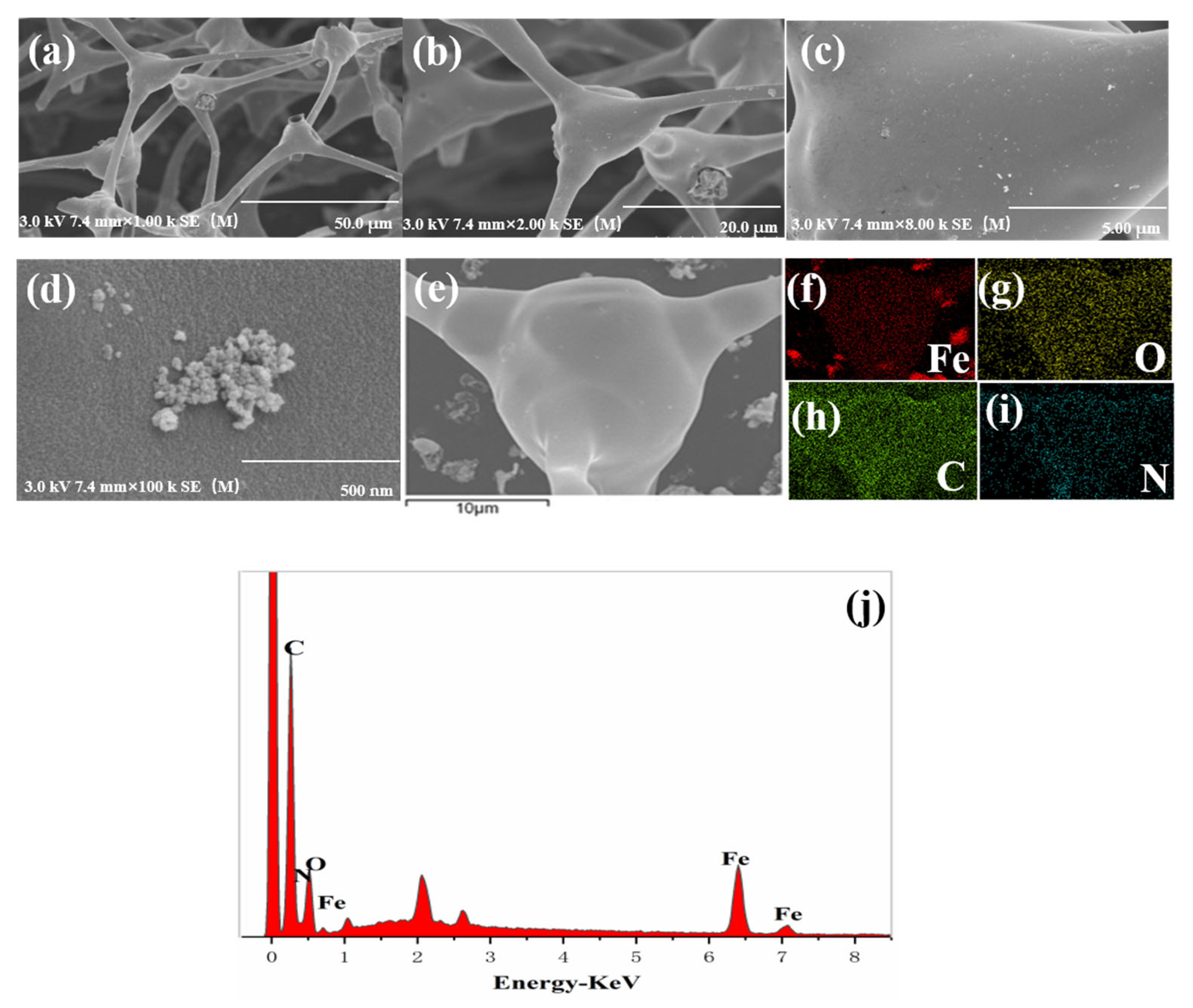 Nanomaterials 12 01866 g002