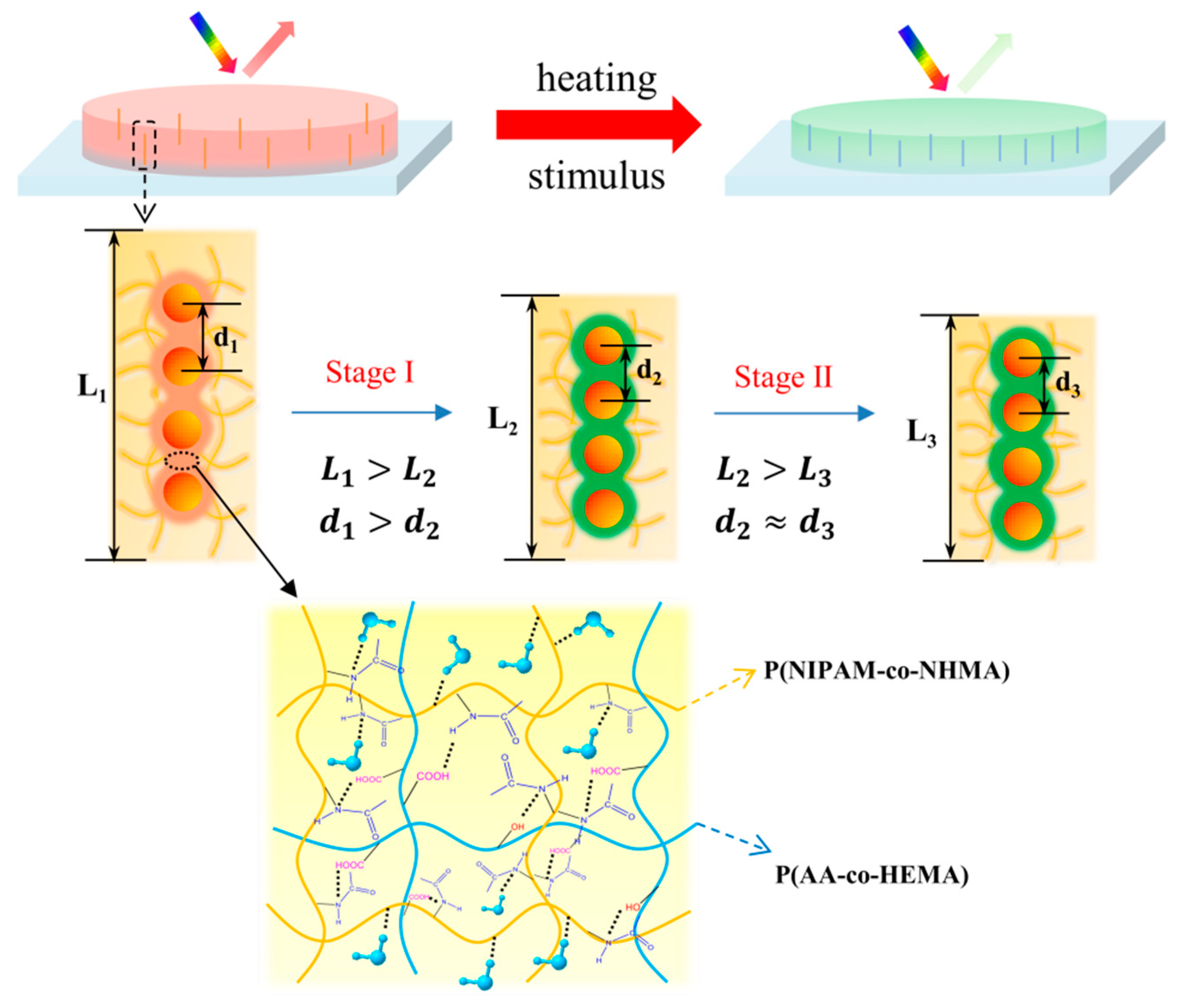 Nanomaterials 12 01867 g003 550