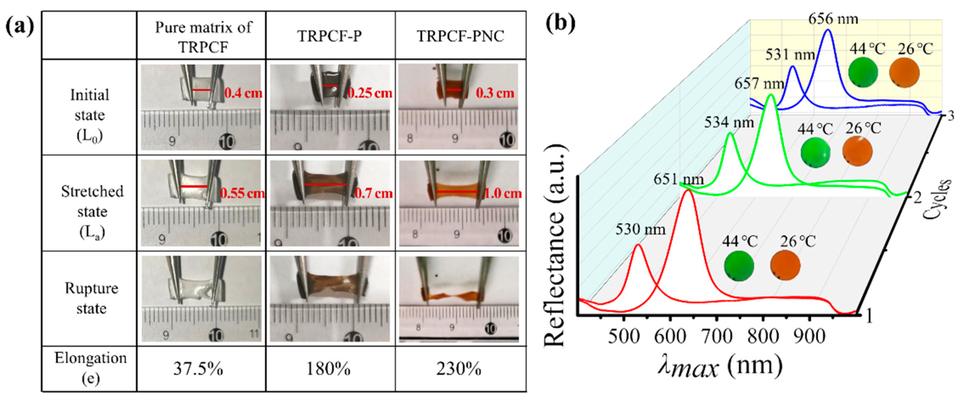 Nanomaterials 12 01867 g004 550