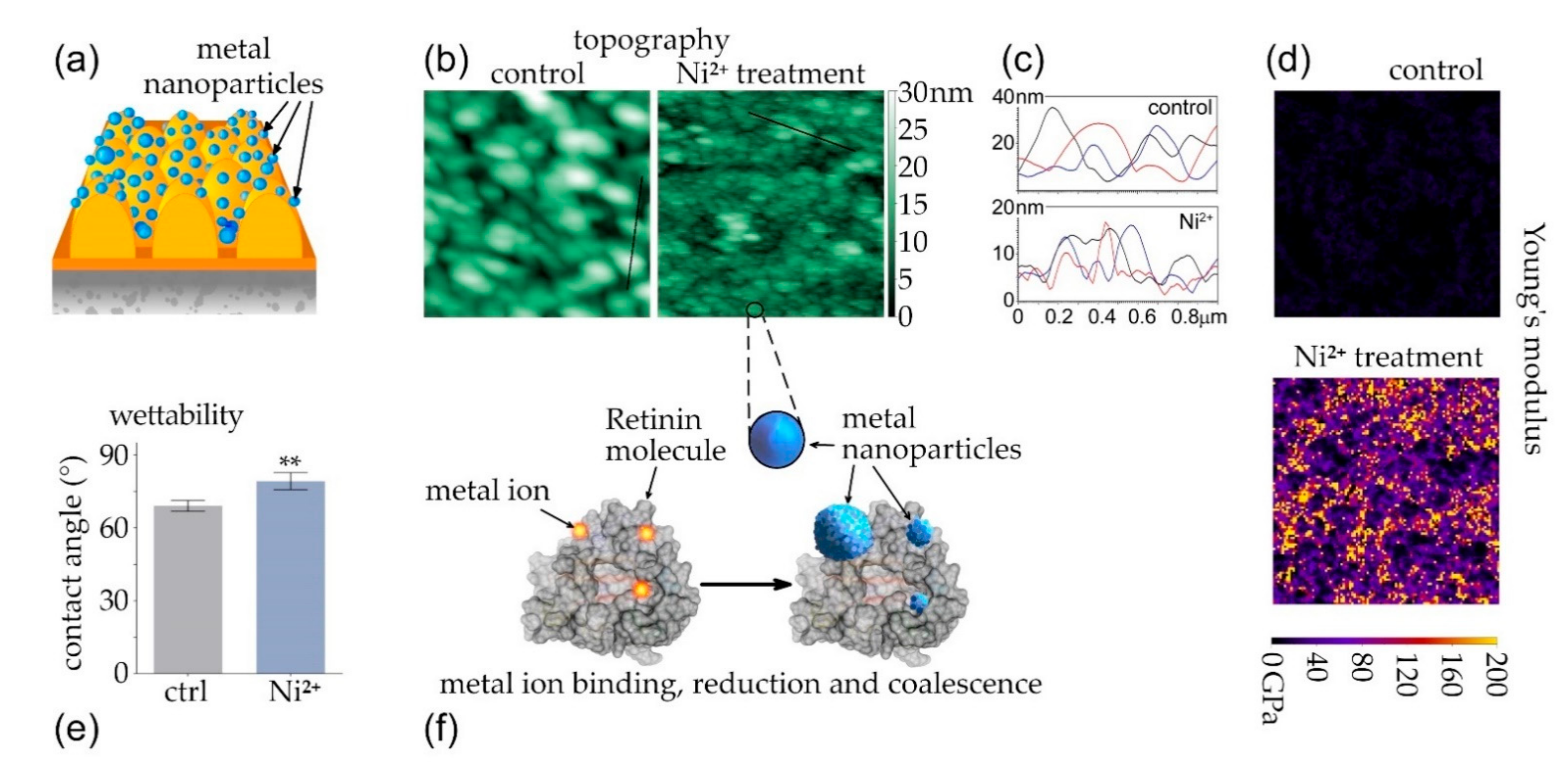 Nanomaterials 12 01868 g003 550