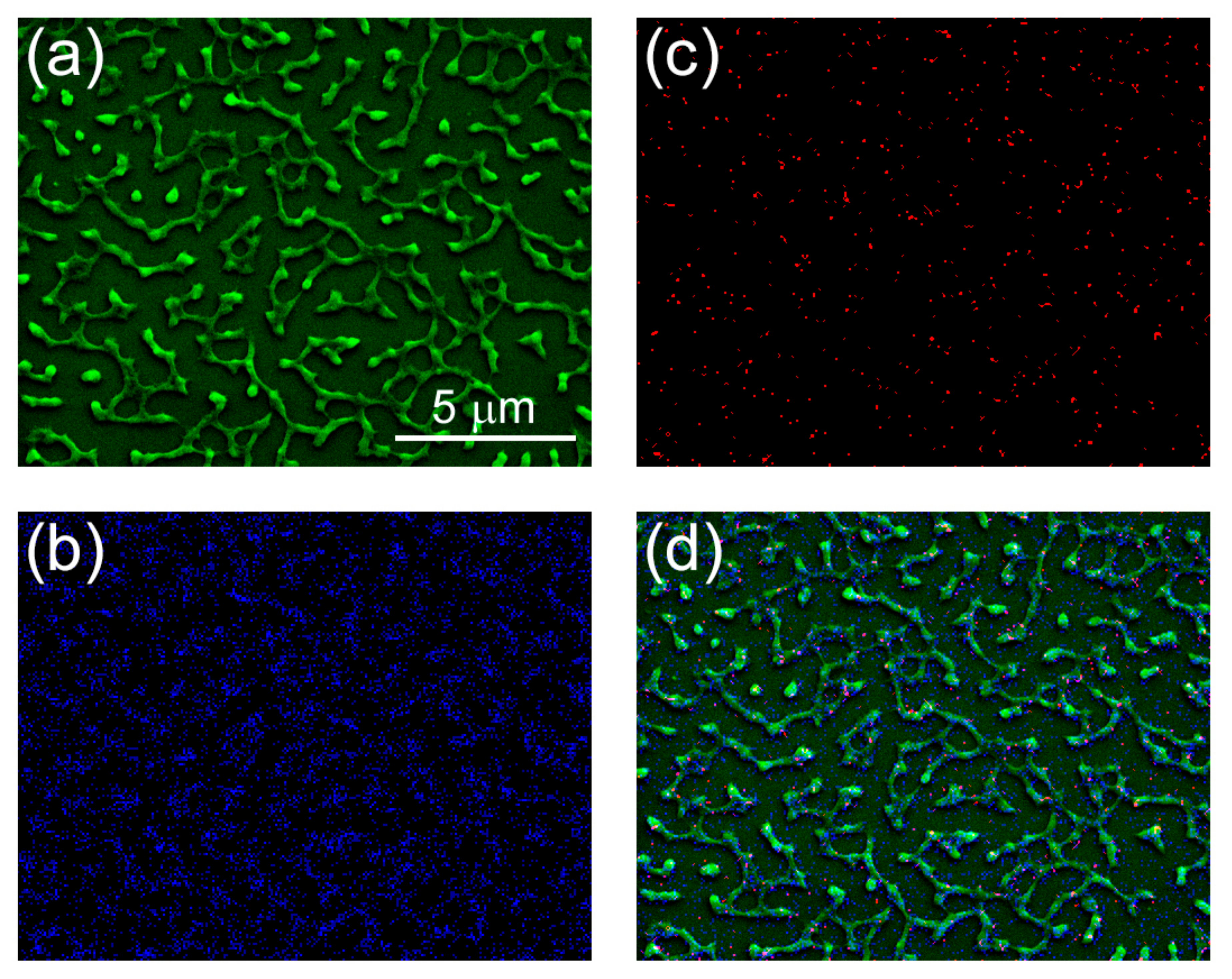 Nanomaterials 12 01868 g005 550