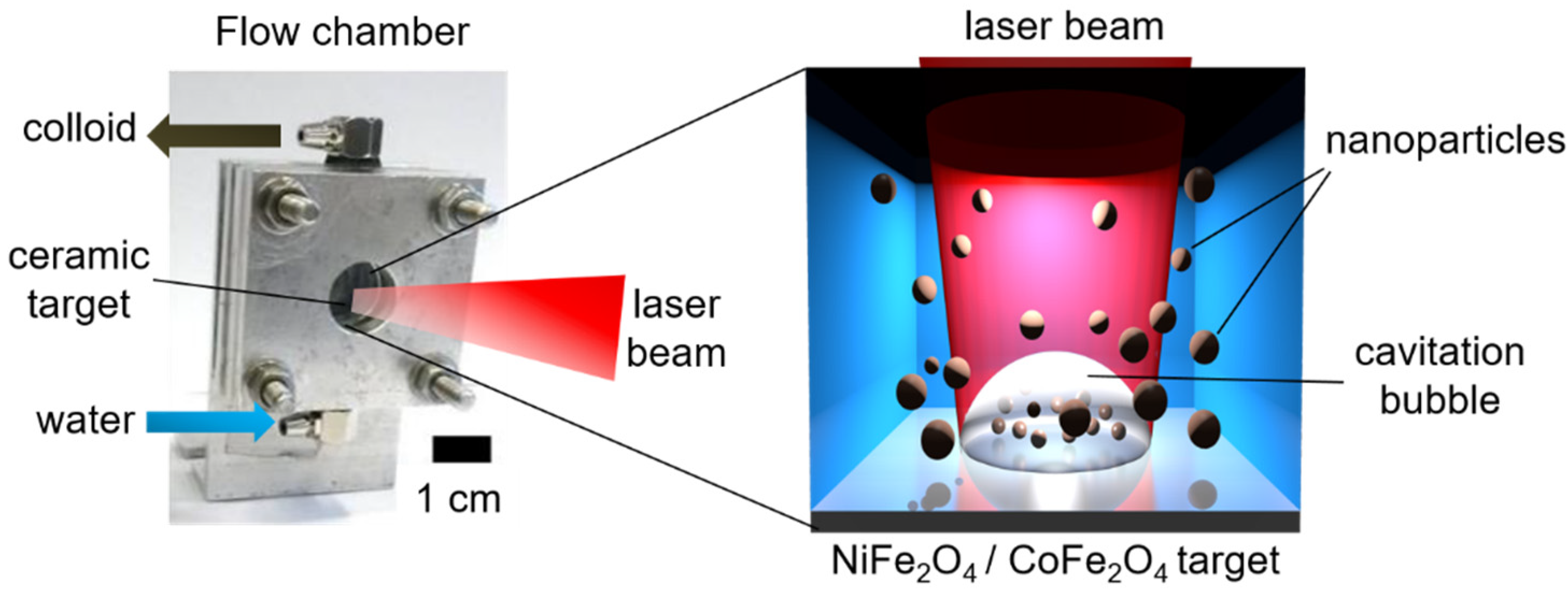 Nanomaterials 12 01872 g001 550