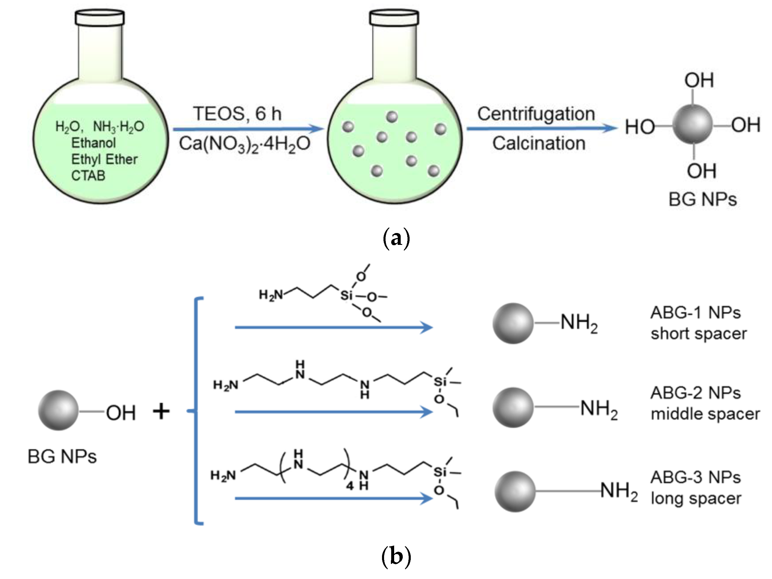 Nanomaterials 12 01874 g001