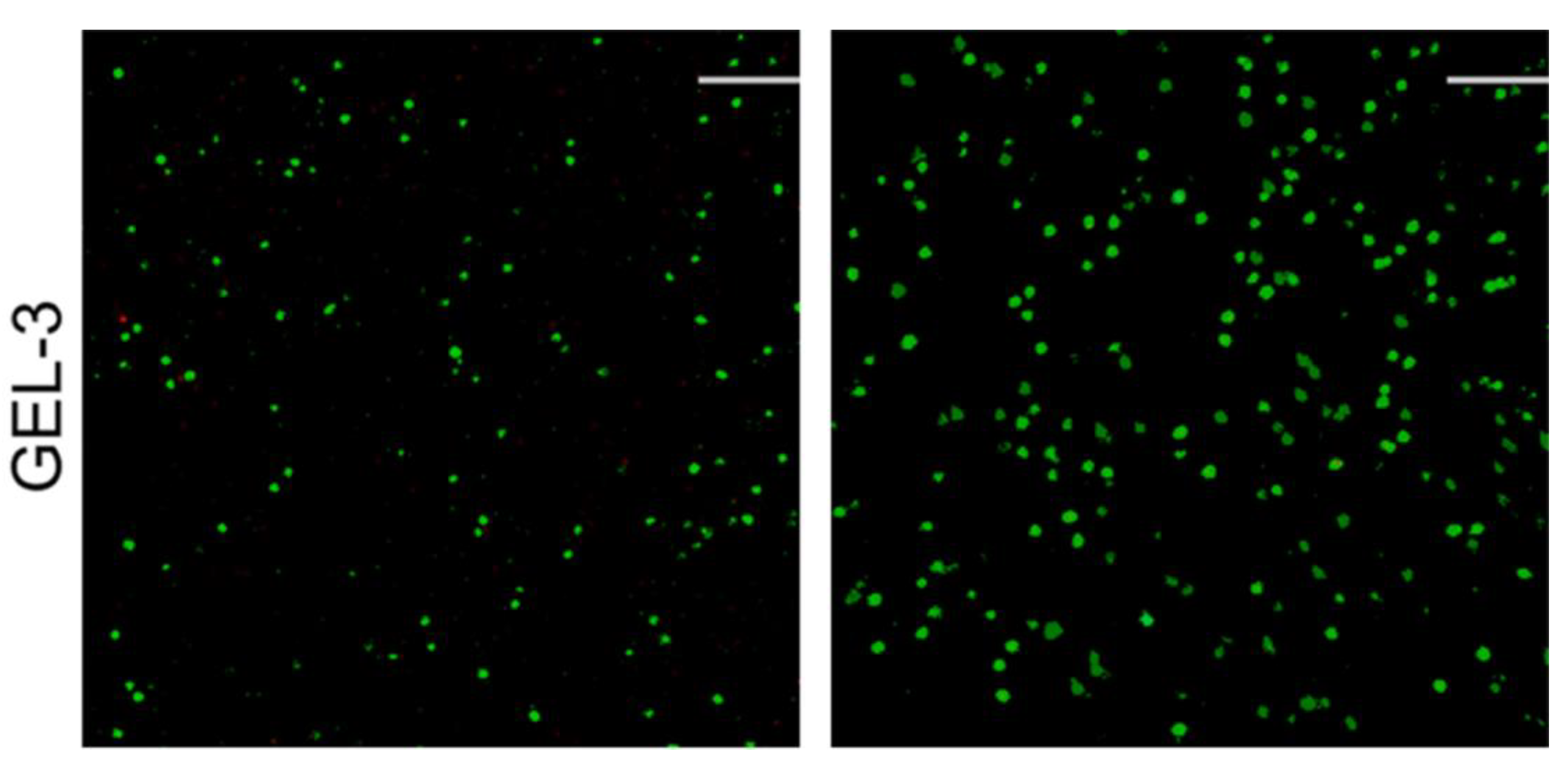 Nanomaterials 12 01874 g007b